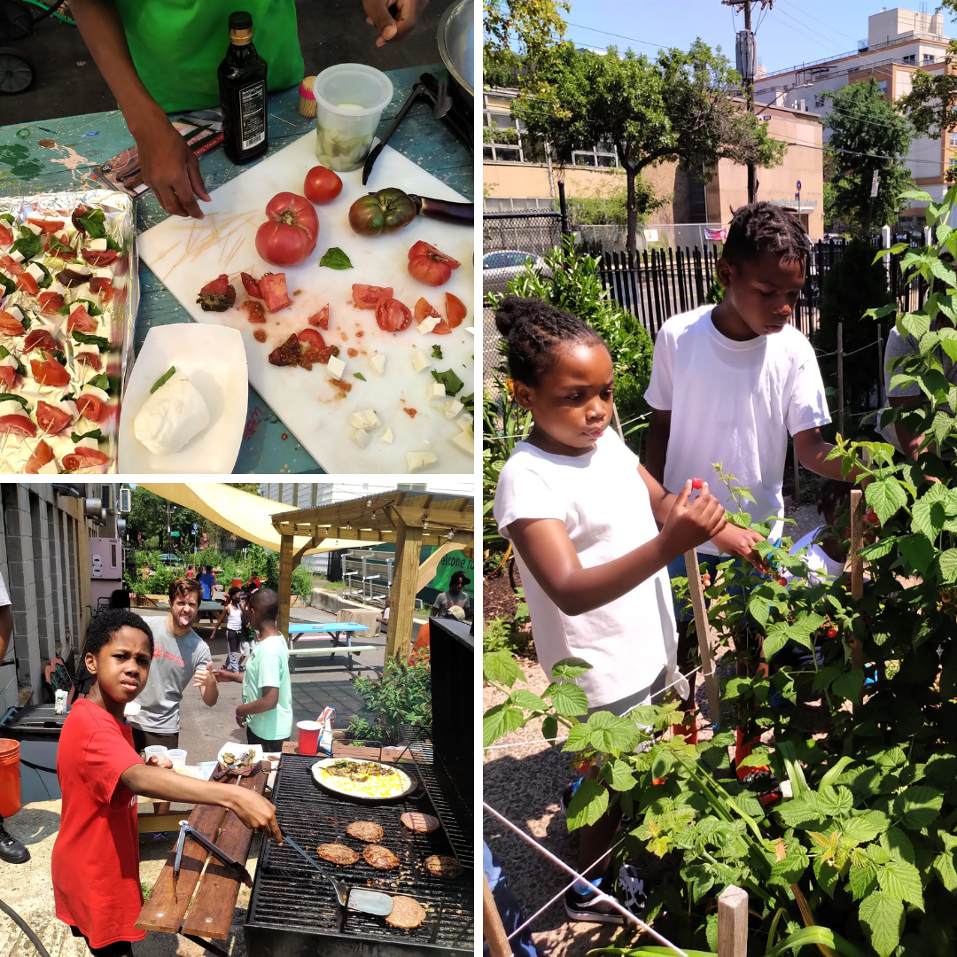 garden canva (1).png