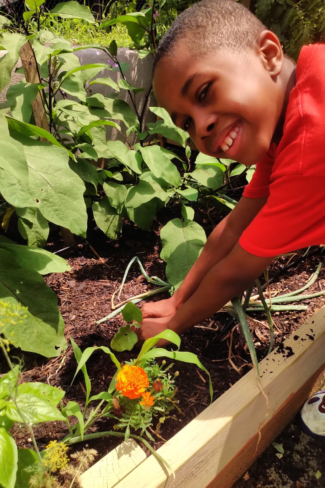 b2e38668-7c7b-41b8-a266-138fd870a56f (1).JPG