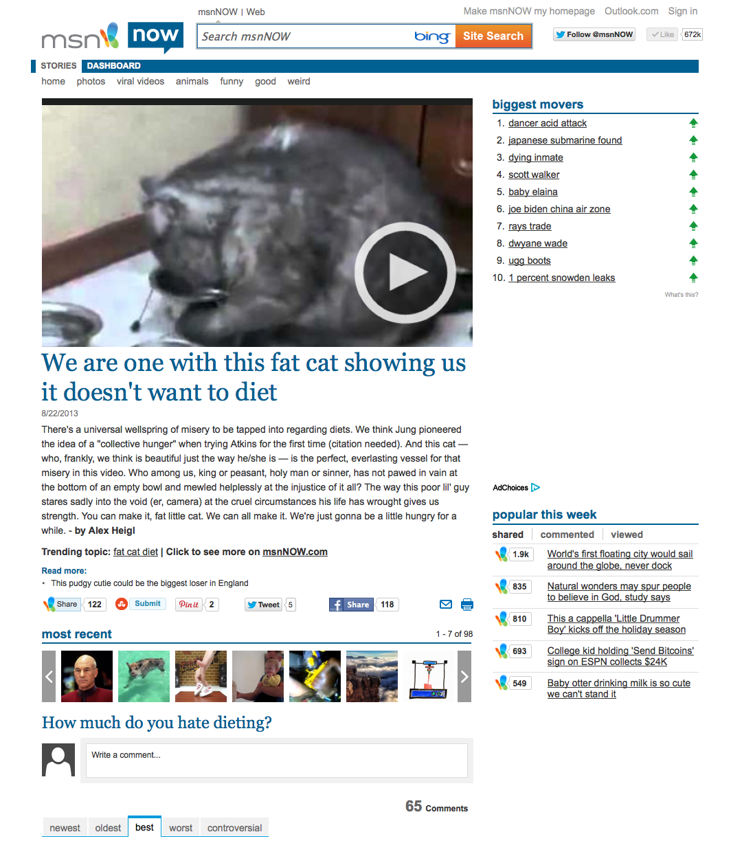 Fat Cat.png