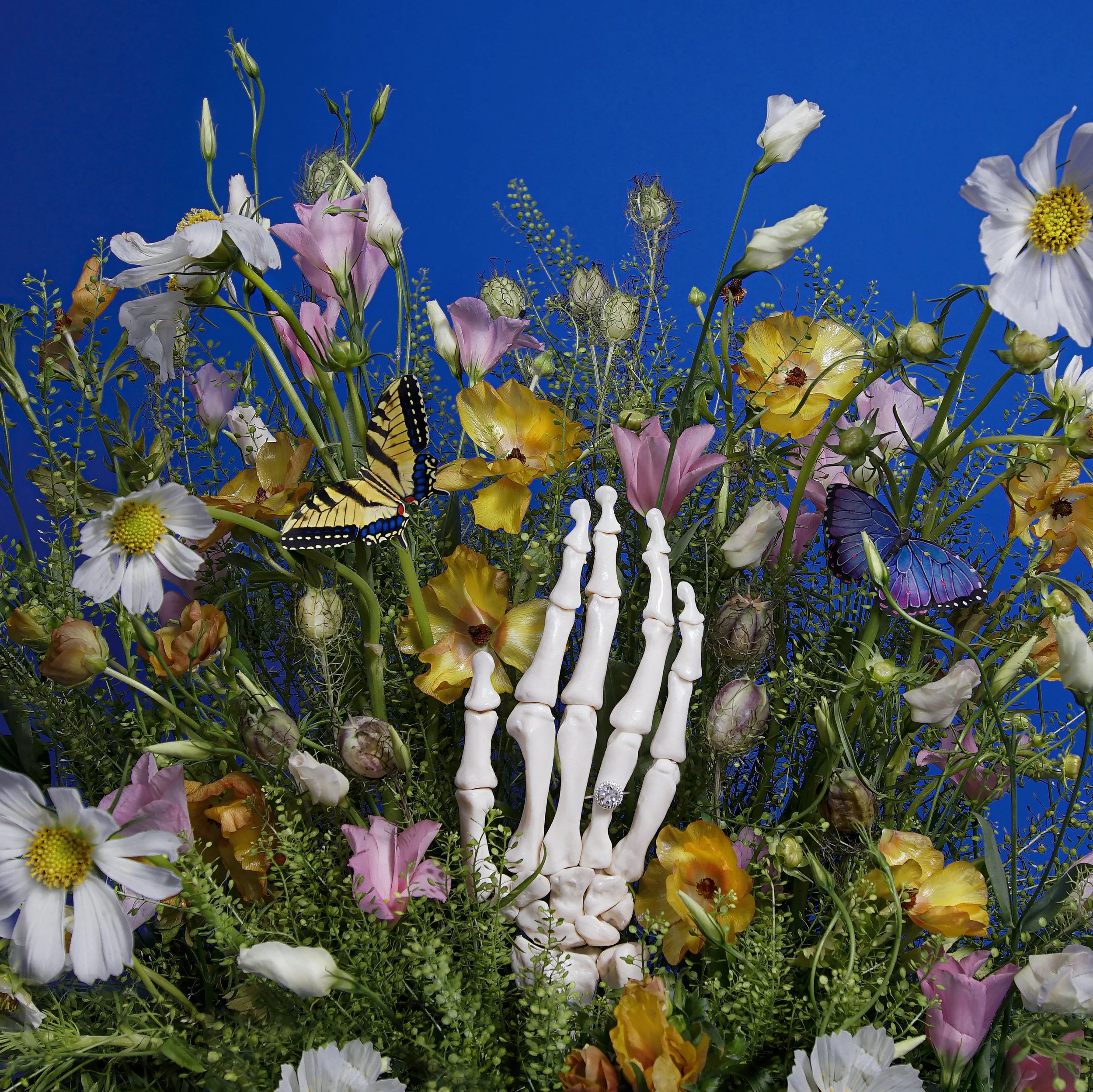 _DSC8832COPI copy.jpg