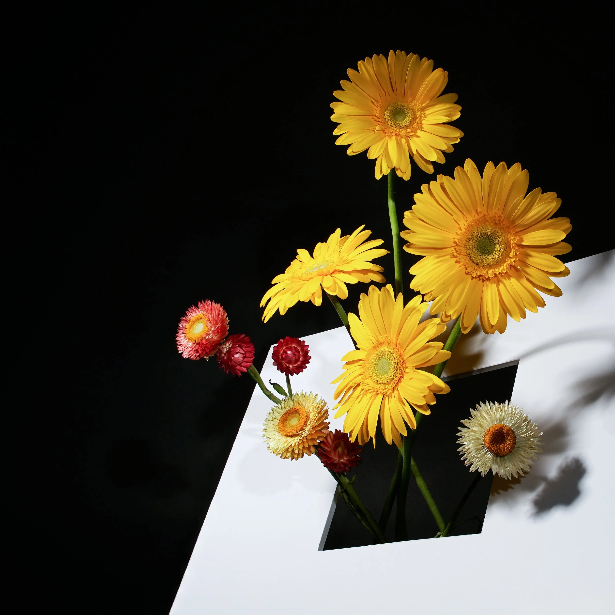 FLOWERS IN THE WINDOW.jpg