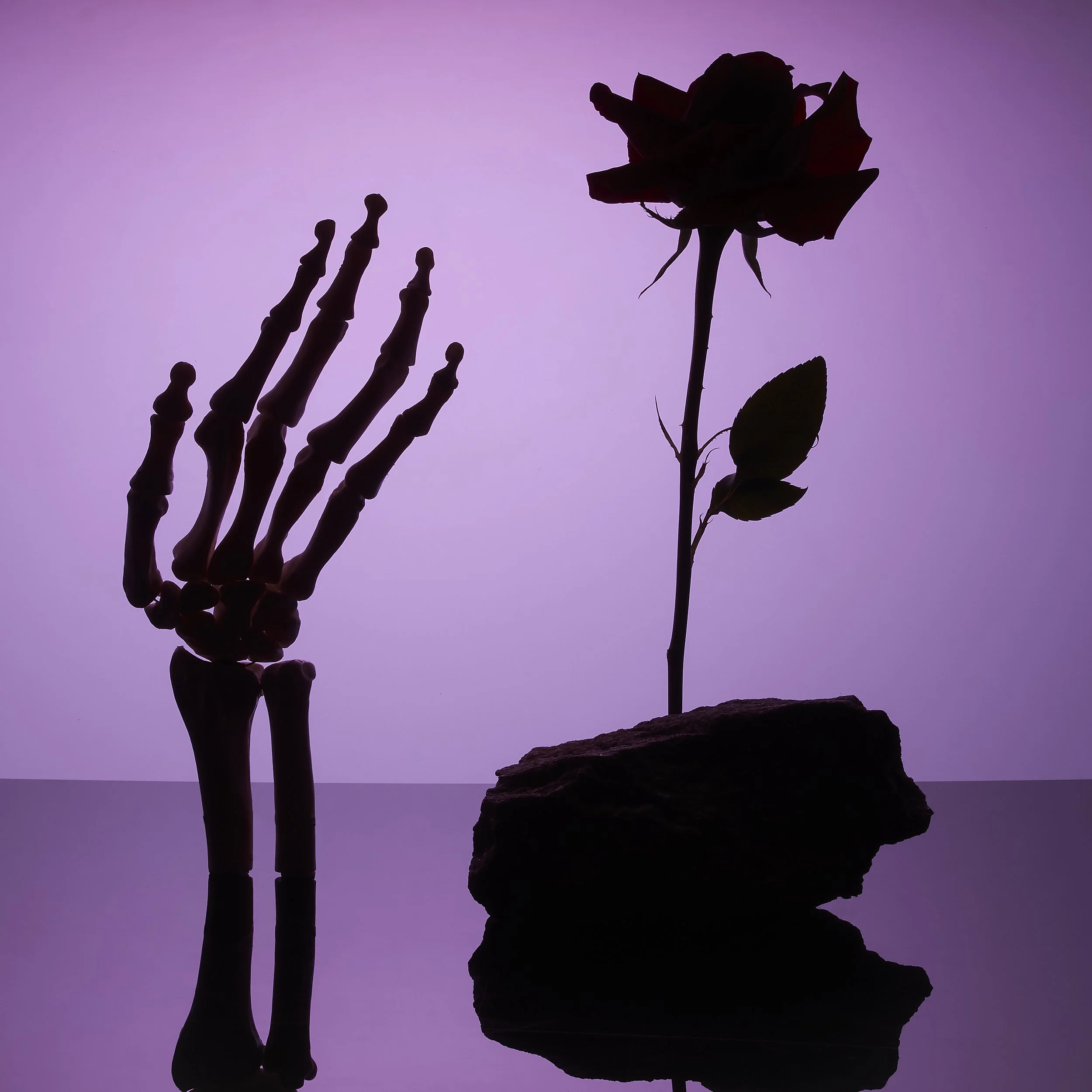 HALLOWEEN SPECIAL1081 copy.jpg