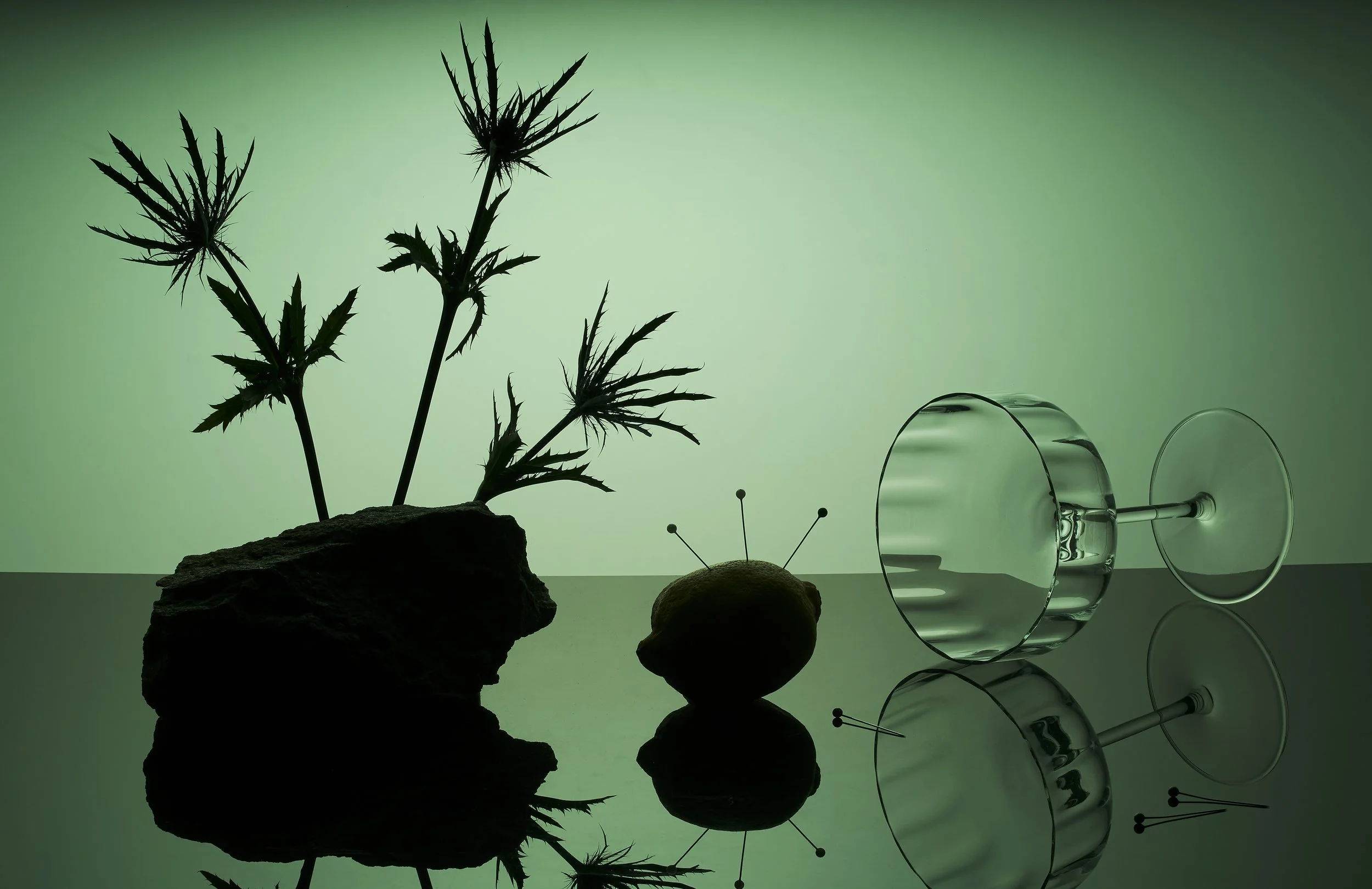 HALLOWEEN SPECIAL0810 copy.jpg