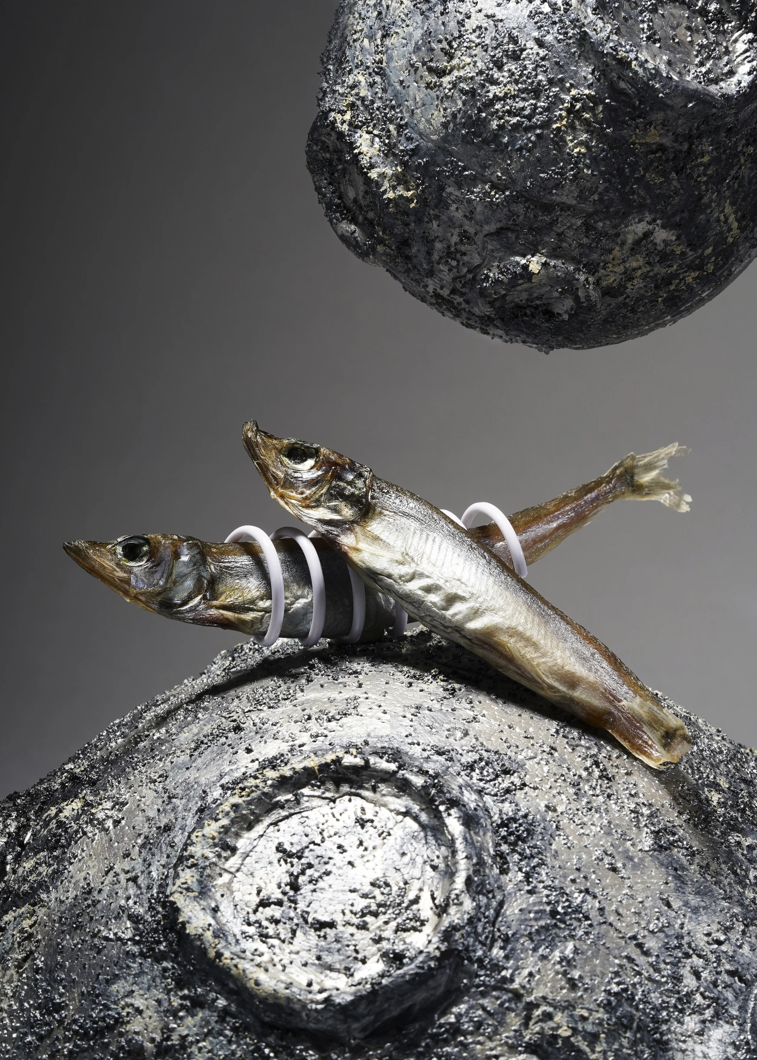 TEST_SHOOT_01_30_2023_VALE8680 copy.jpg