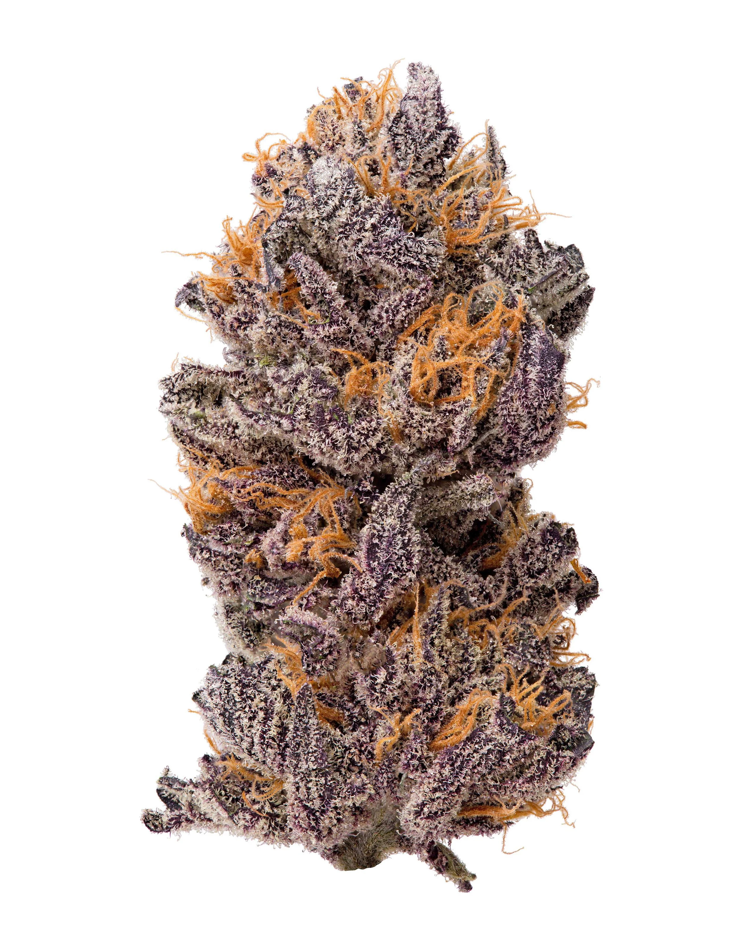 Rickys-Rozay-White Weed Photographer.jpg