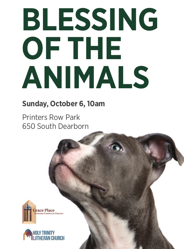 Blessing of the Animals at HTLoop