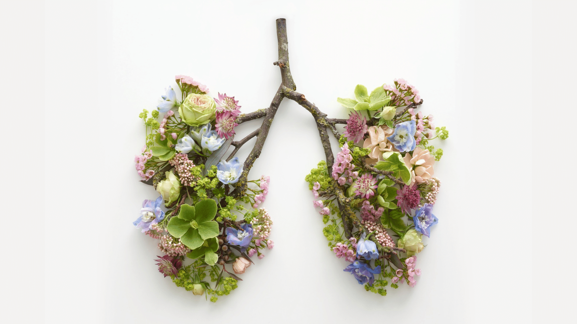 What takes your breath away