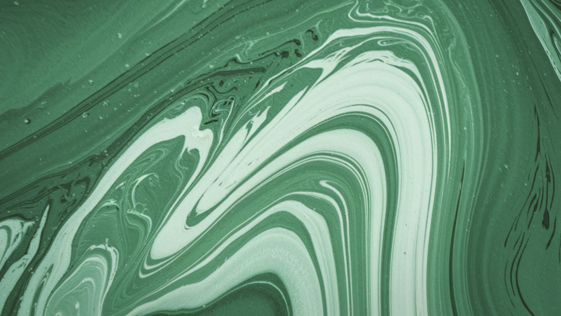 Green or white for the Feast of Creation in Christ?