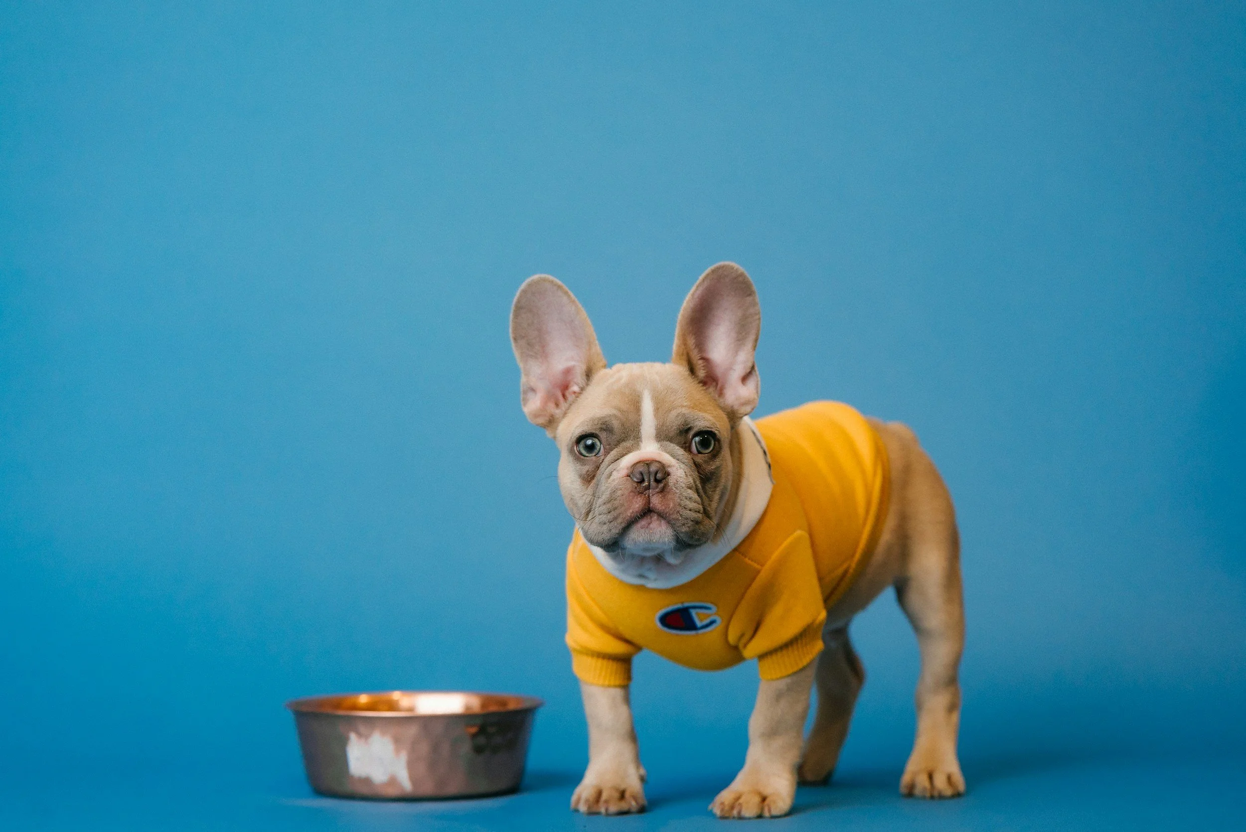 Training Without the Bowl: Make Every Moment Count