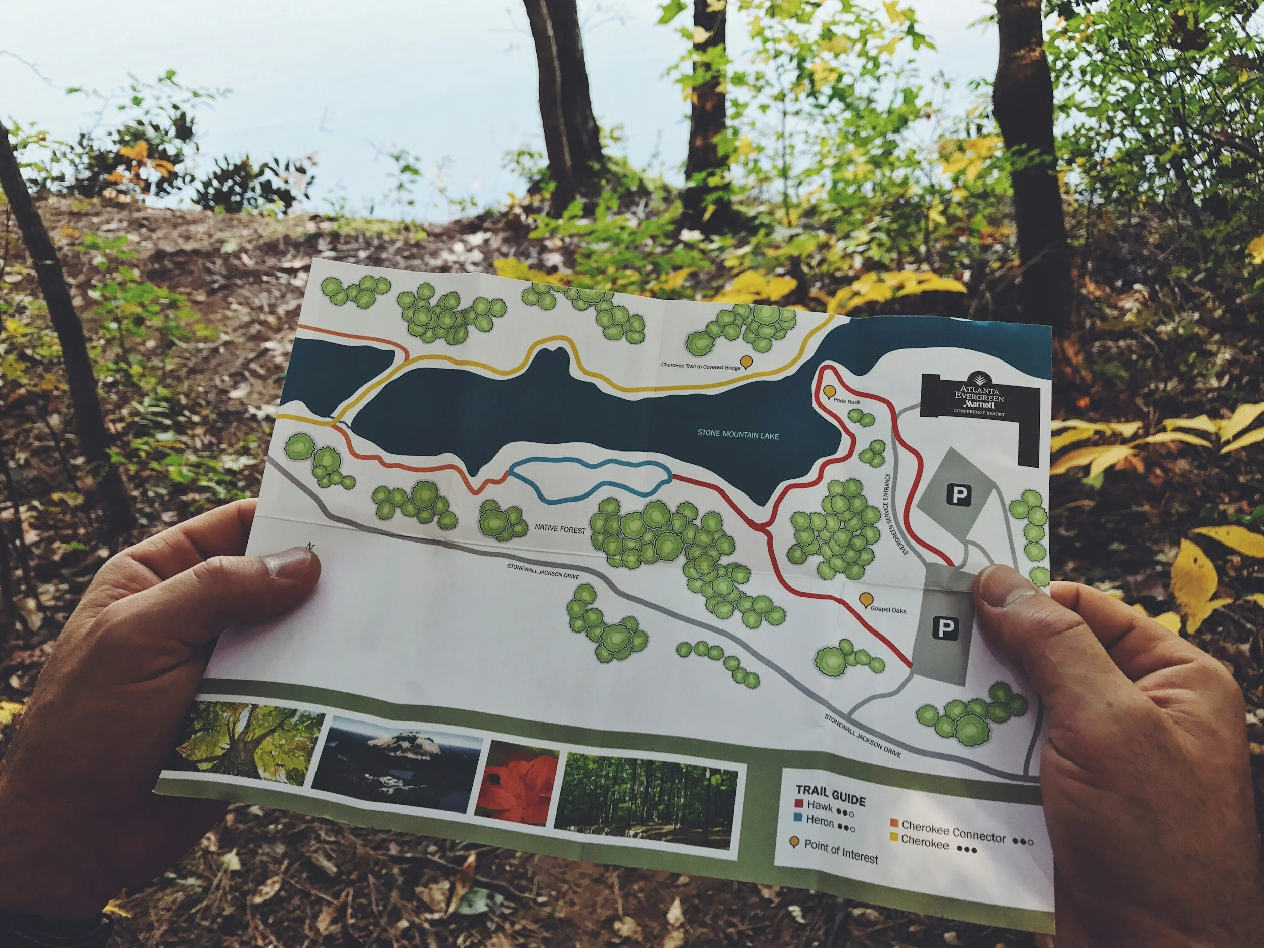 Be Your Dog’s Tour Guide: Helping Them Navigate a Human World