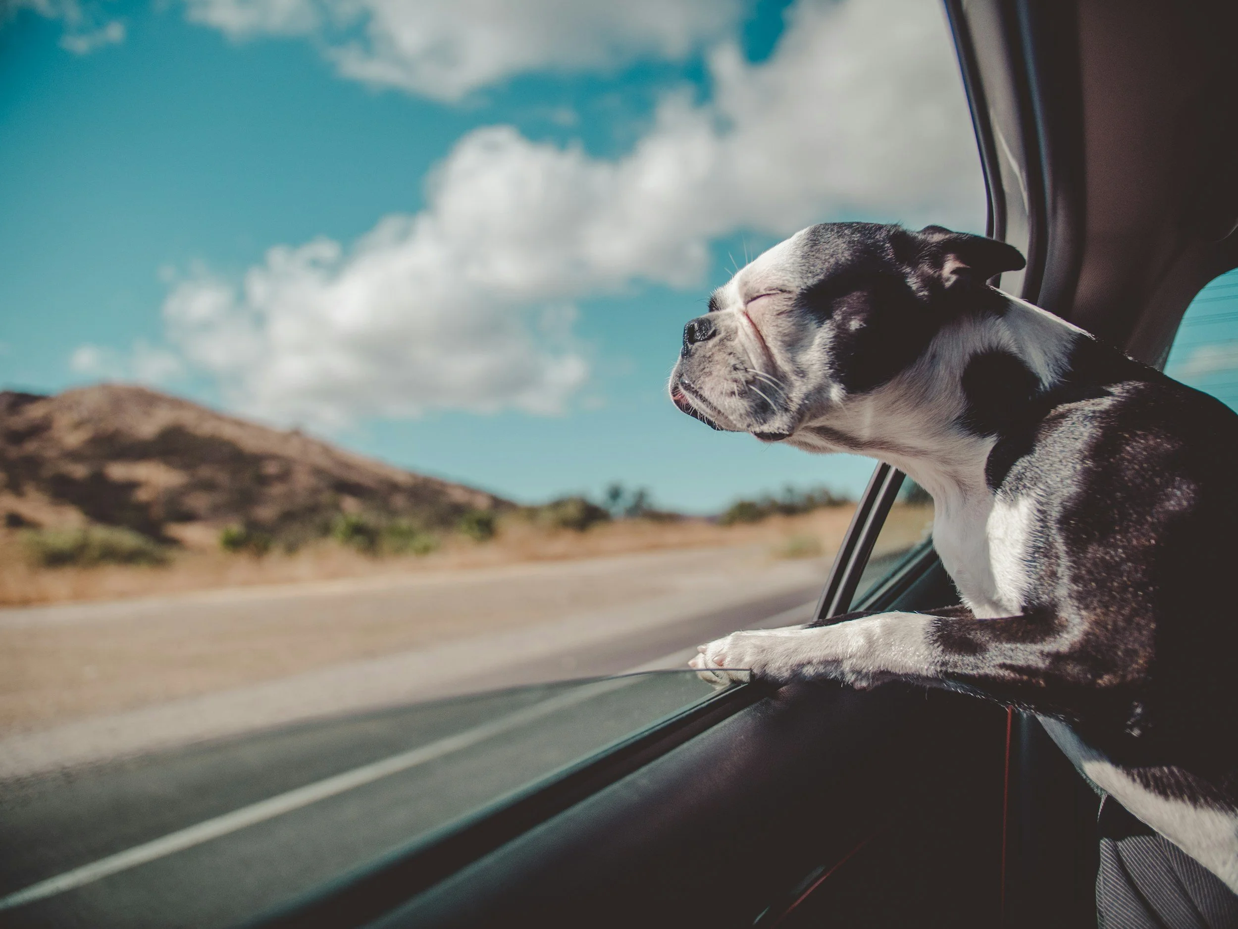 Calm Starts at the Trailhead: Why the First 30 Seconds Matter