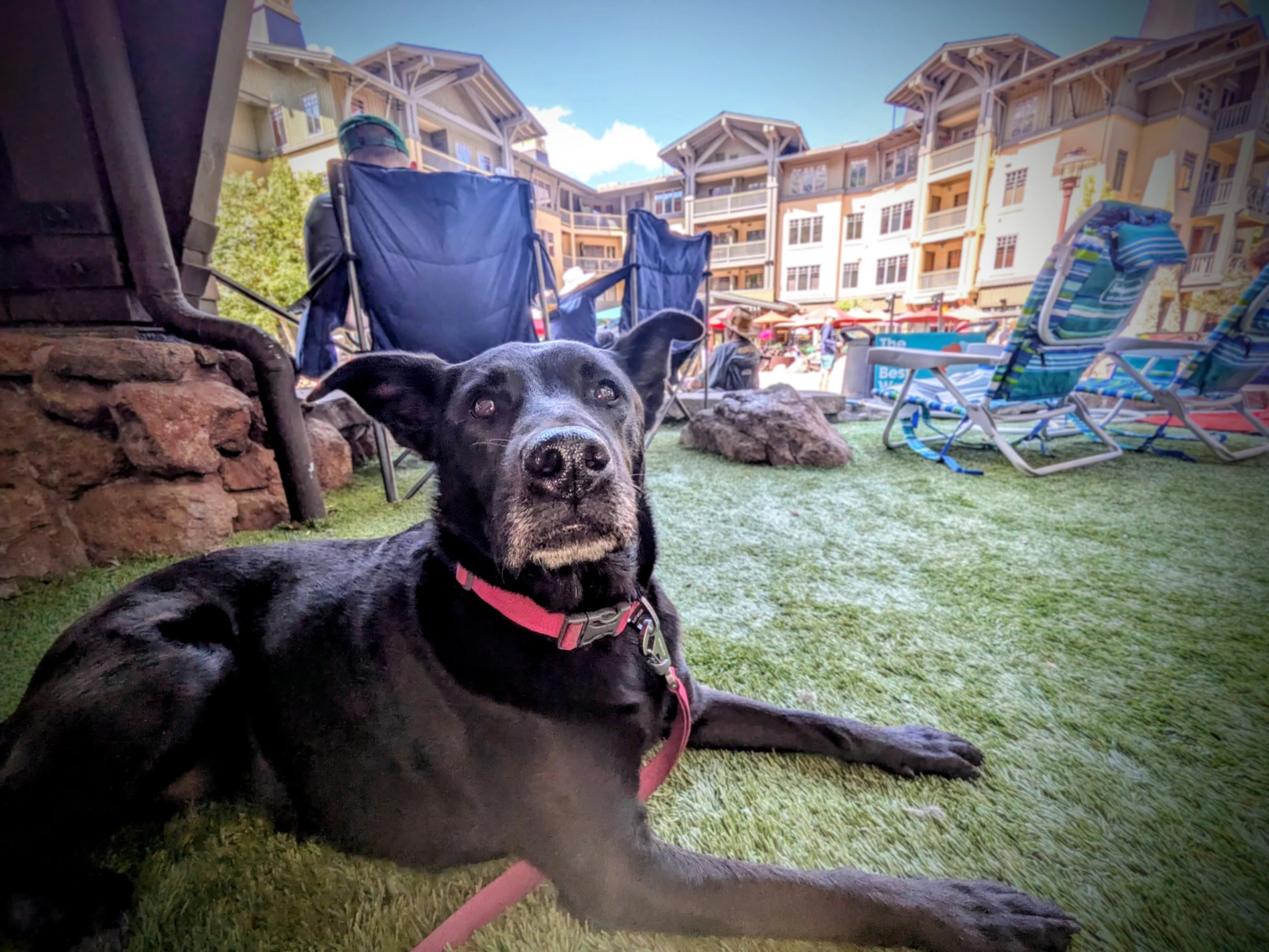 When Nothing Goes Wrong