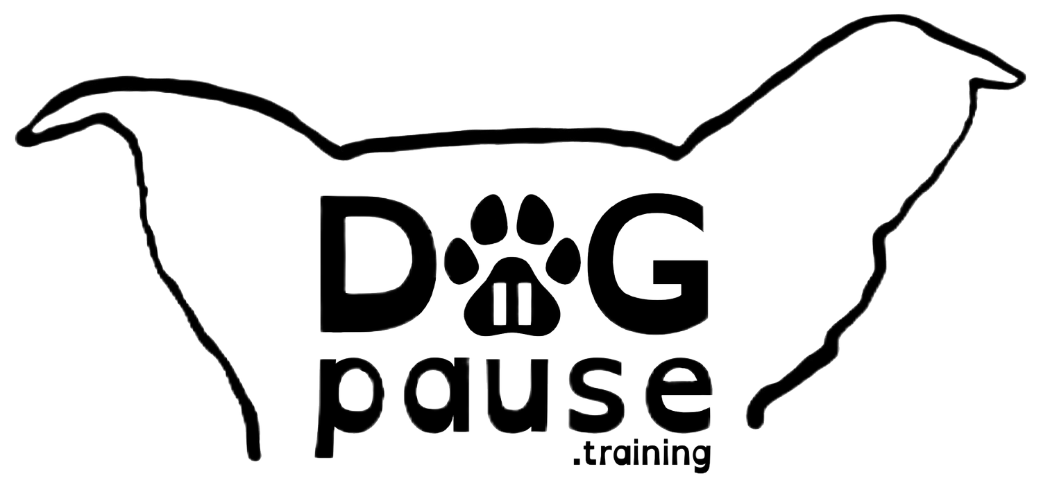 Dog Pause