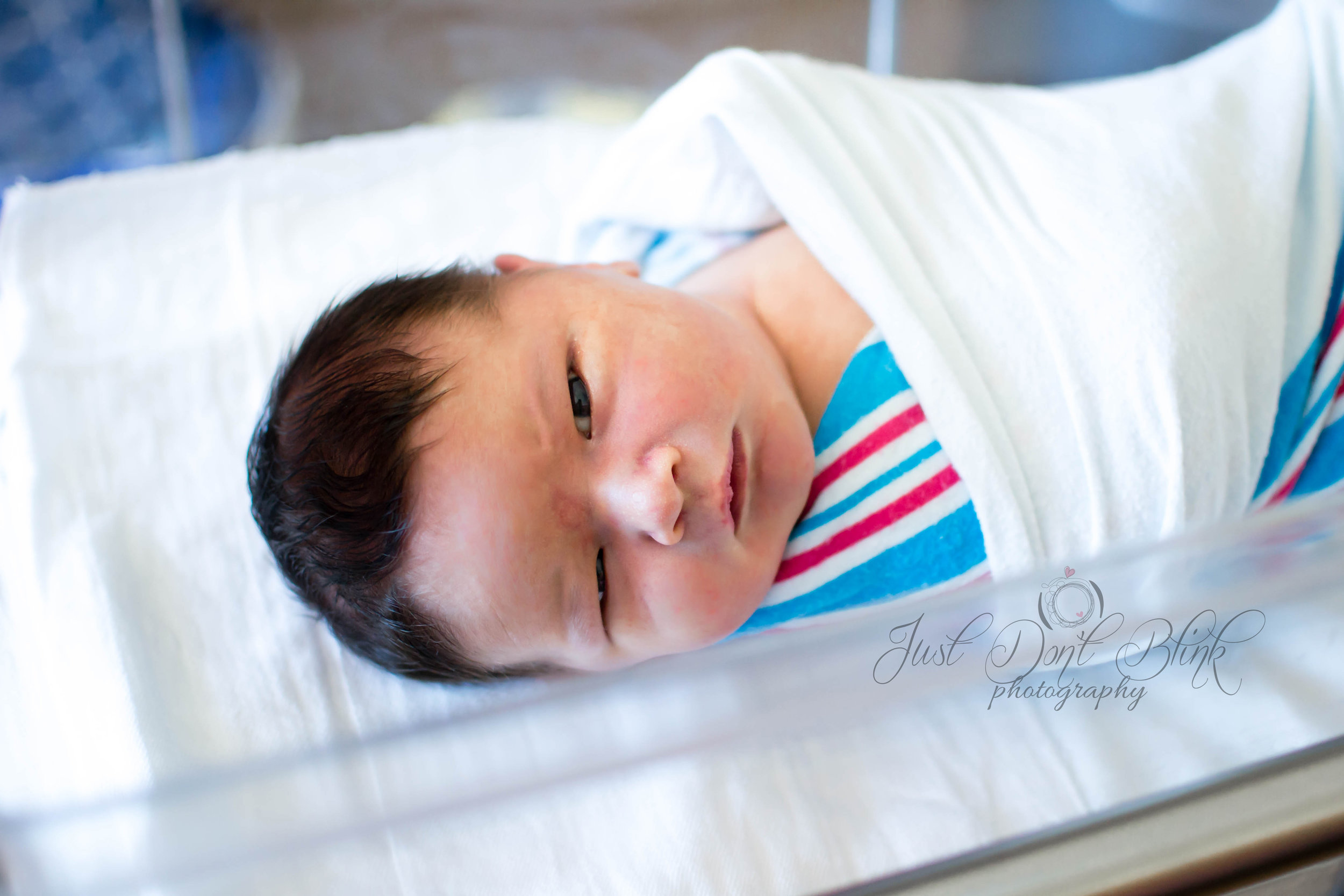 tenley10wm.jpg