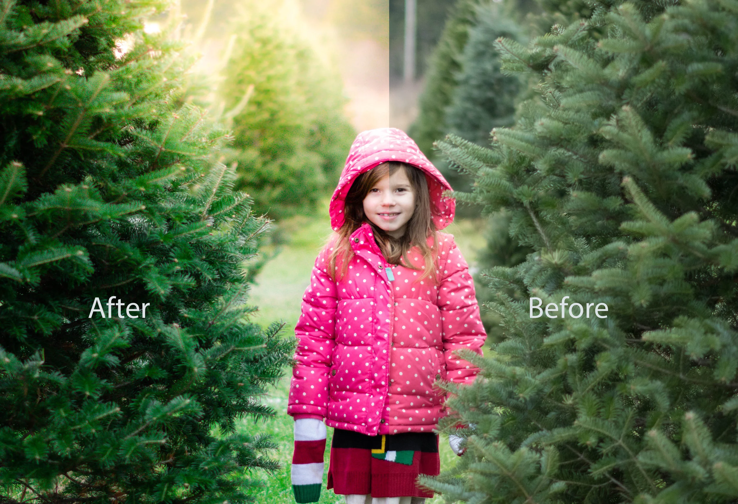 beforeafter2.jpg
