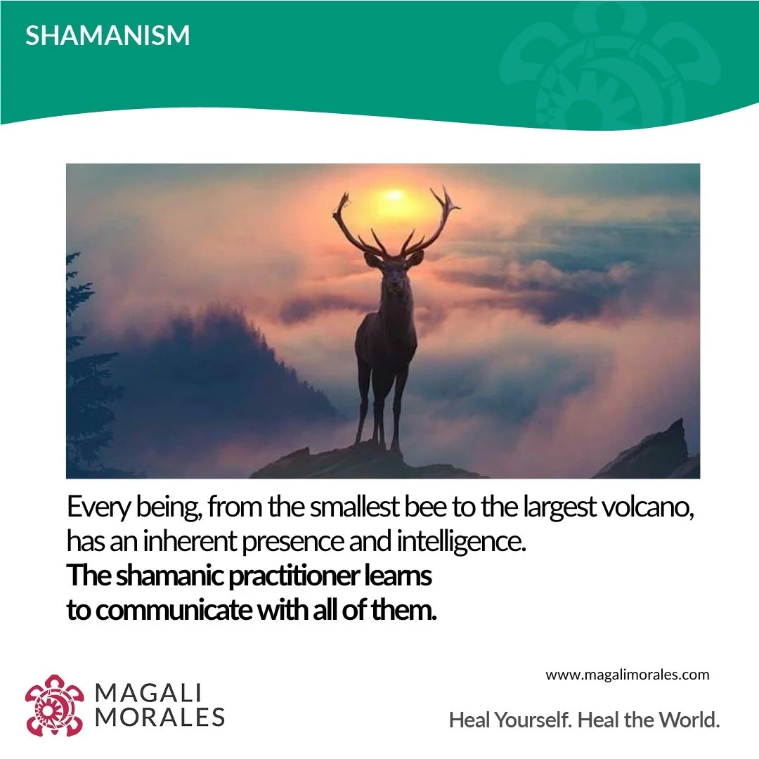 I had a reunion with my first generation of Shamanic students last night, and one of the clearest changes I notice in all of them is that their relationship with the beings of nature has deepened.

They are reoriented mentally and spiritually to a ne