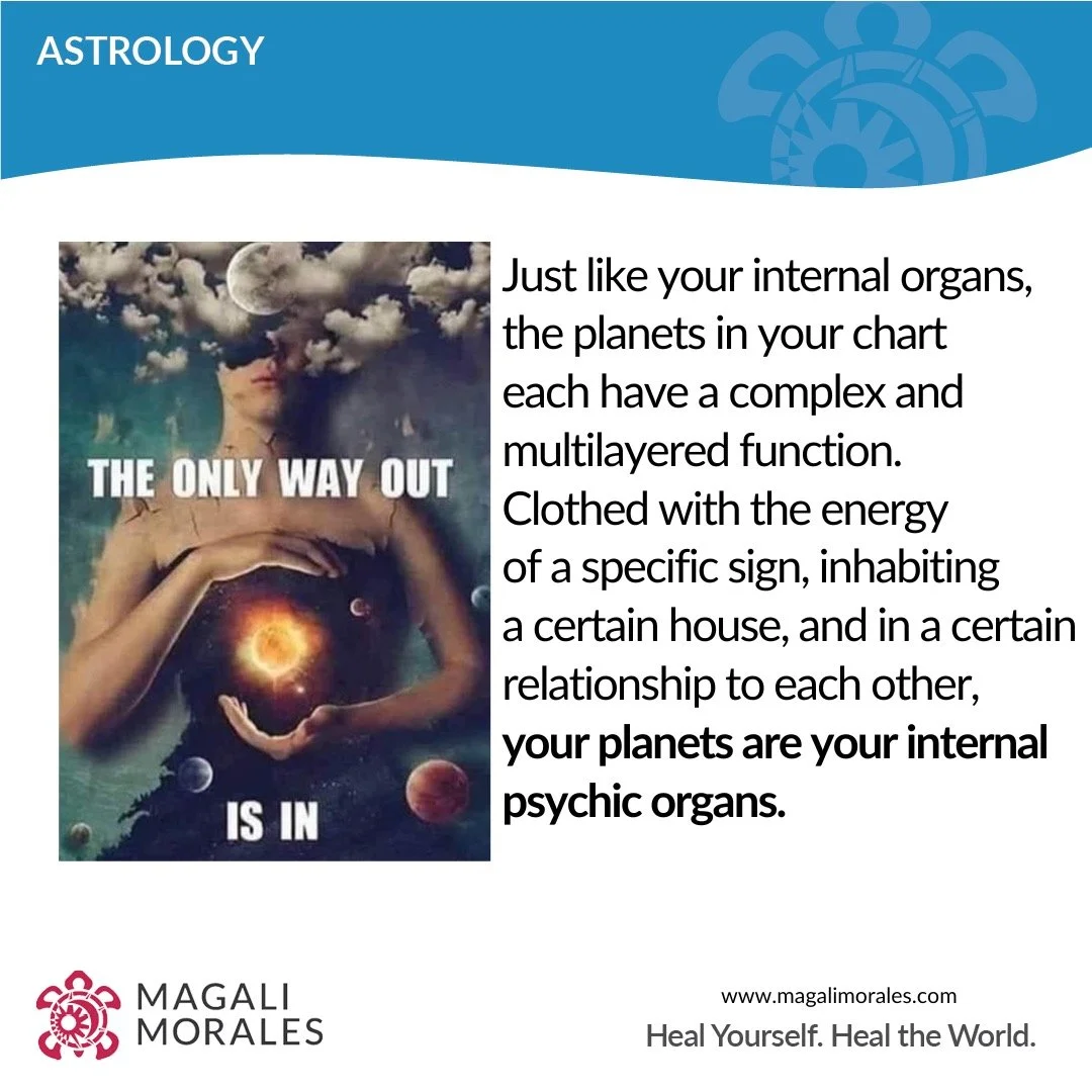 Join us for the in person retreat of the Organization for Professional Astrology this October 15-19 in Park City UT, where I'll be teaching consulting skills for astrologers. Go to www.opaastrology.org for more information.