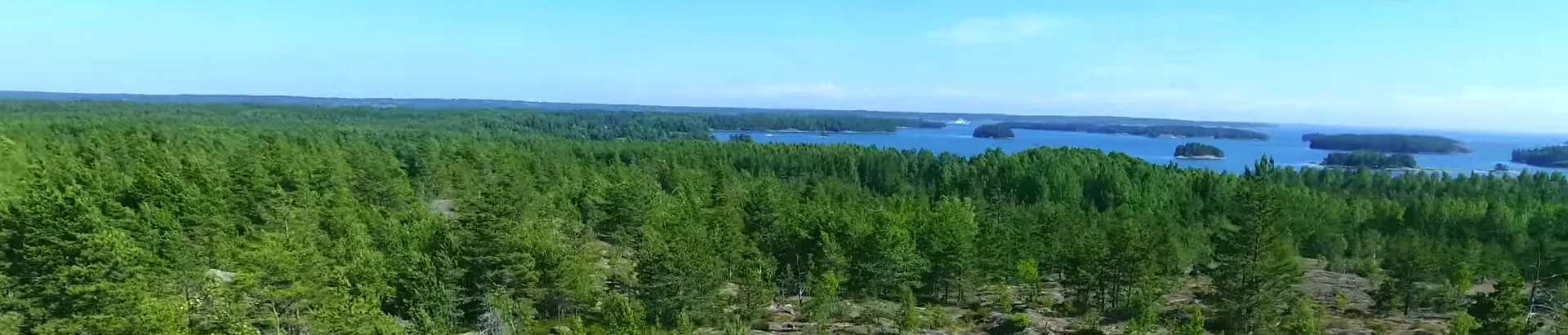 kallionakyma2.jpg