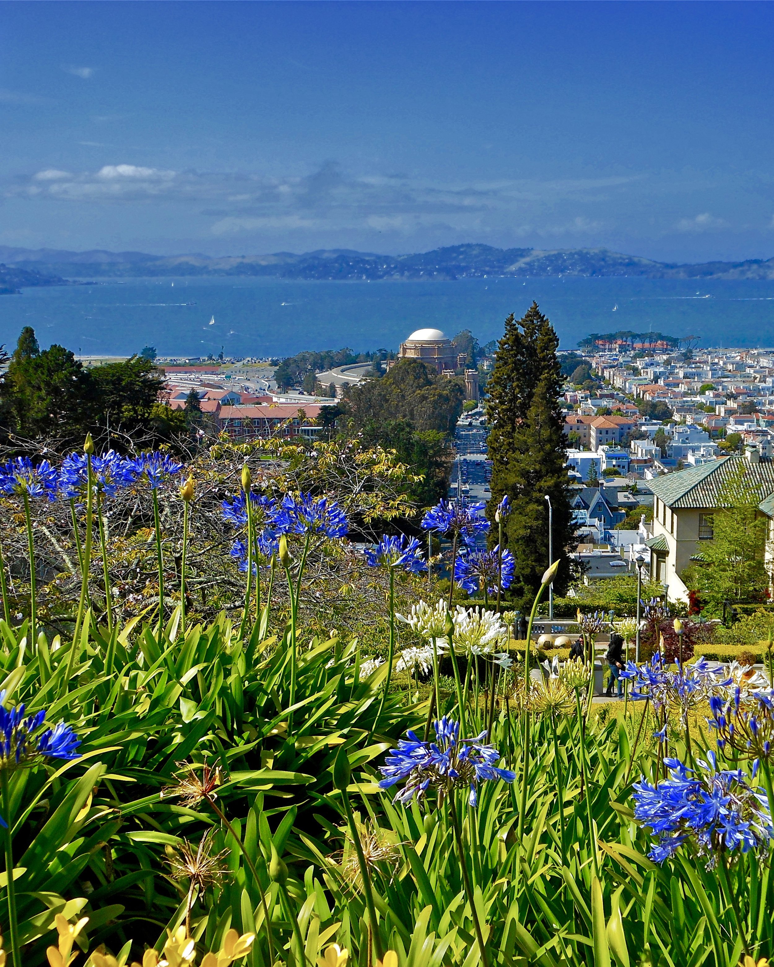 Pacific Heights toward Sausalito, SanFrancisco
