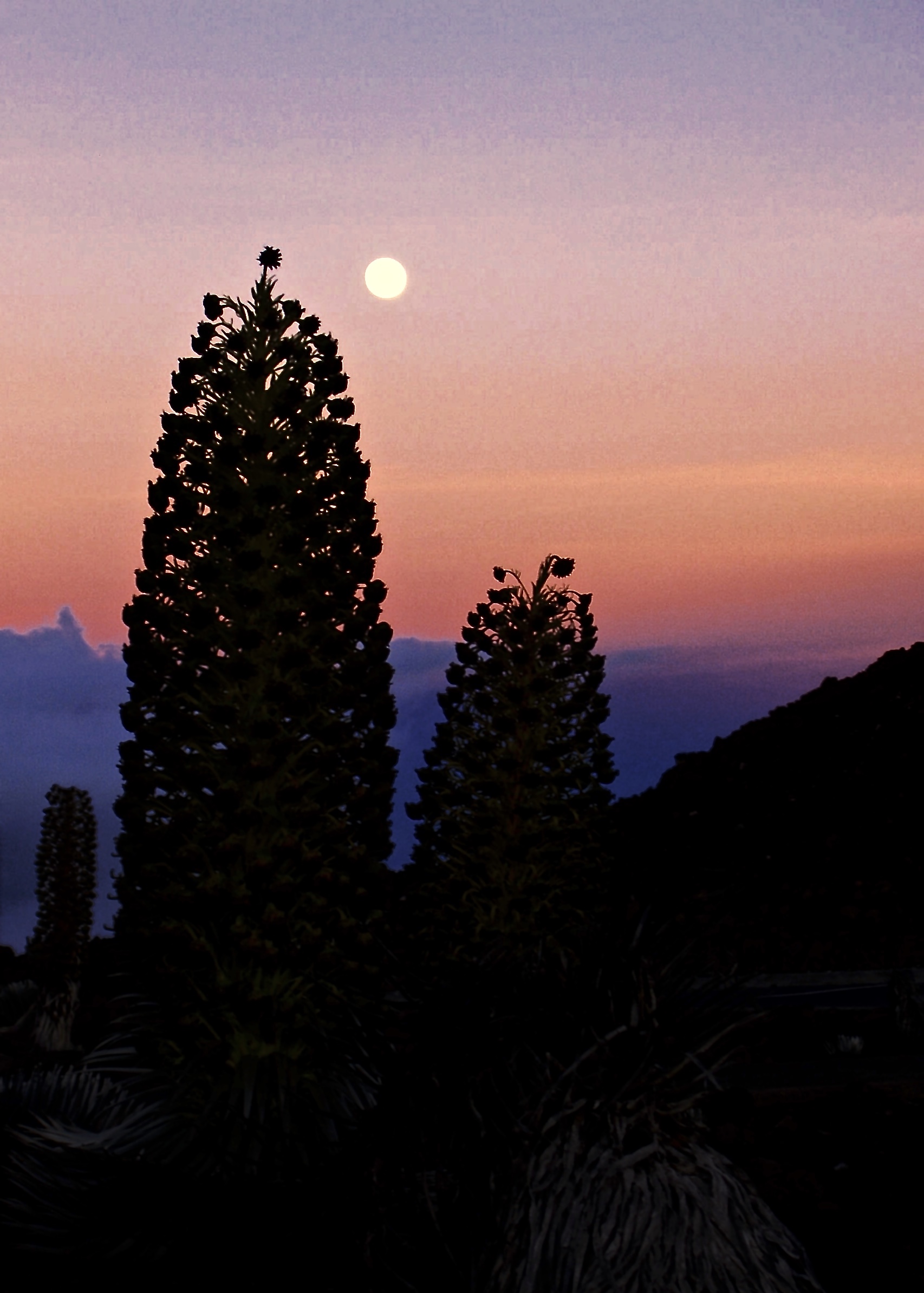 Haleakala Moonrise, Maui, HI
