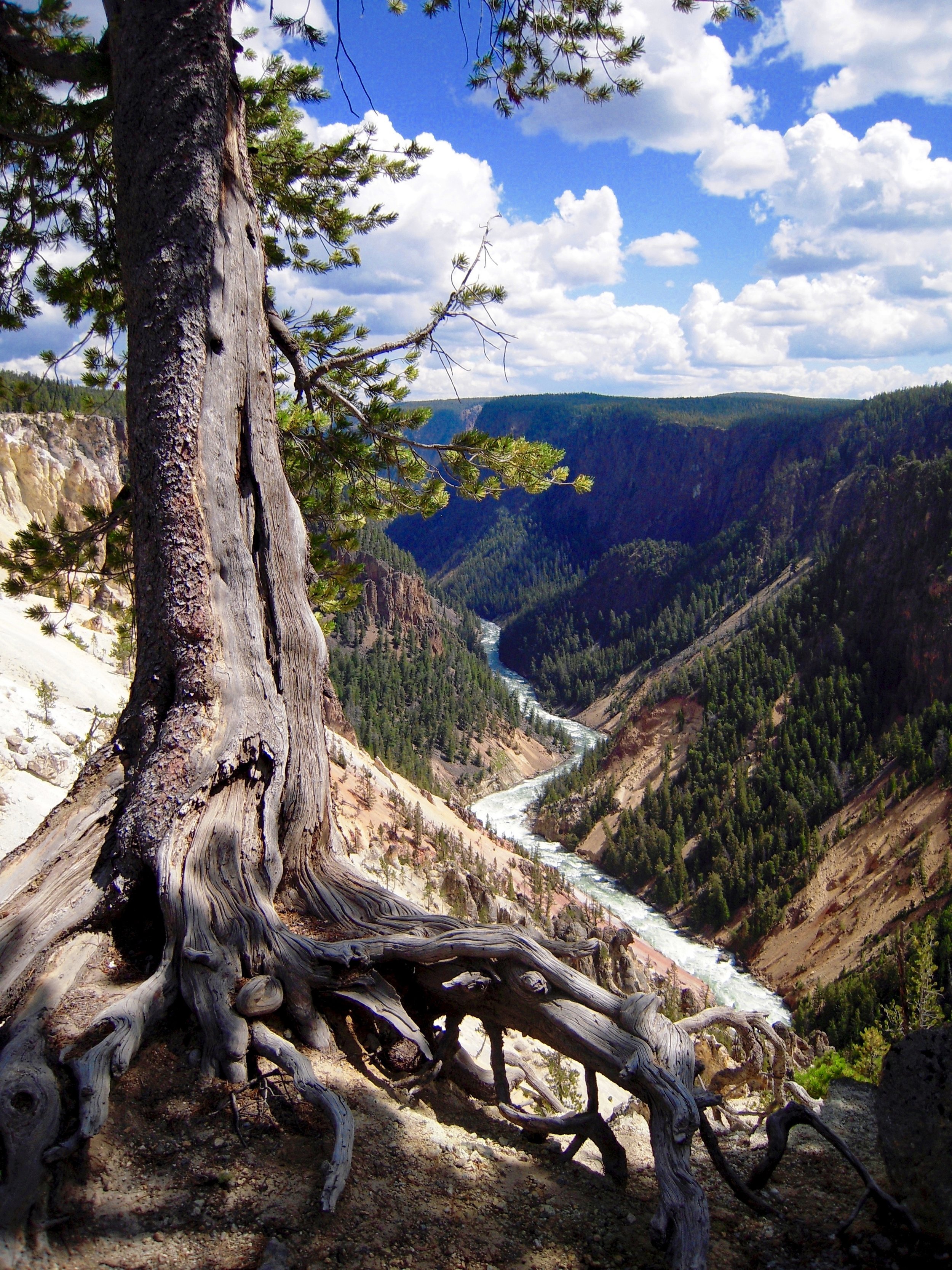 Yellowstone River, WY
