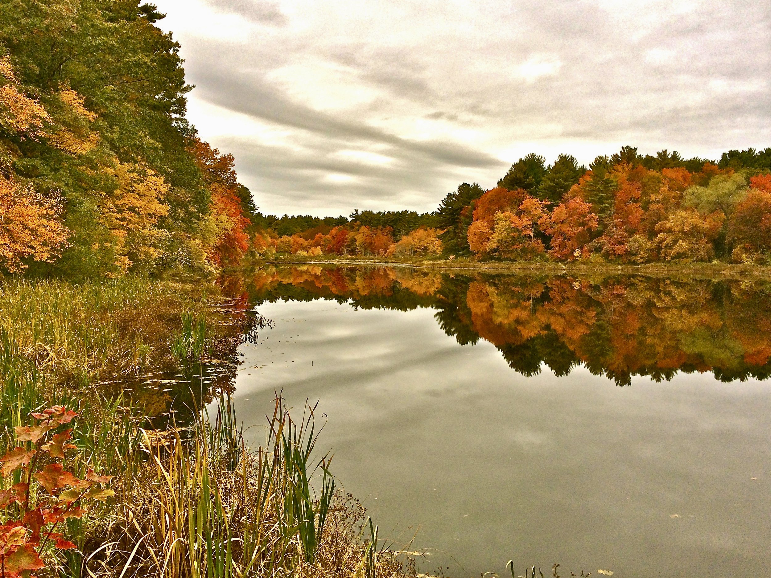 Mill Pond, Duxbury, MA