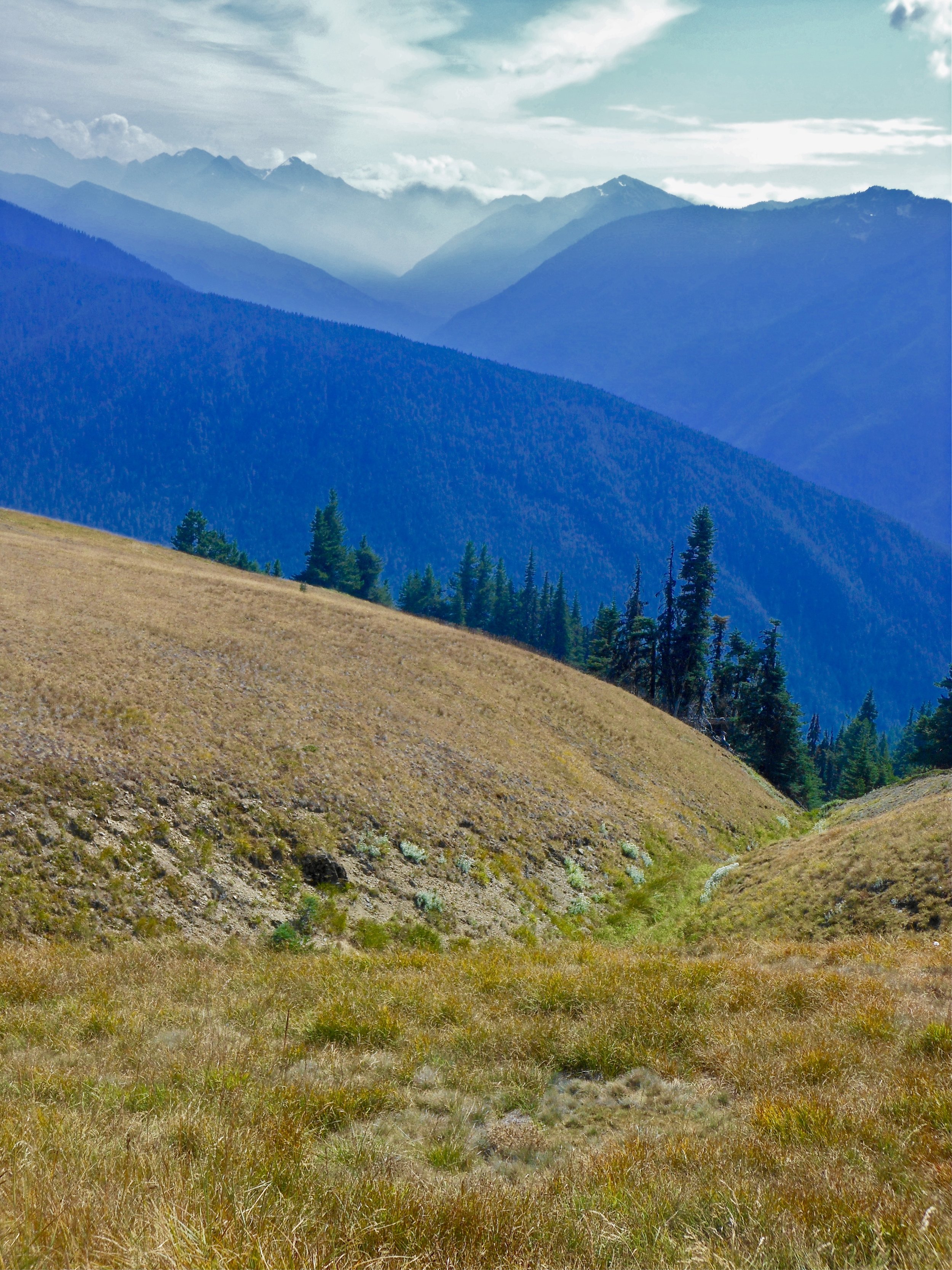 Olympic Range from Hurricane Hill, WA