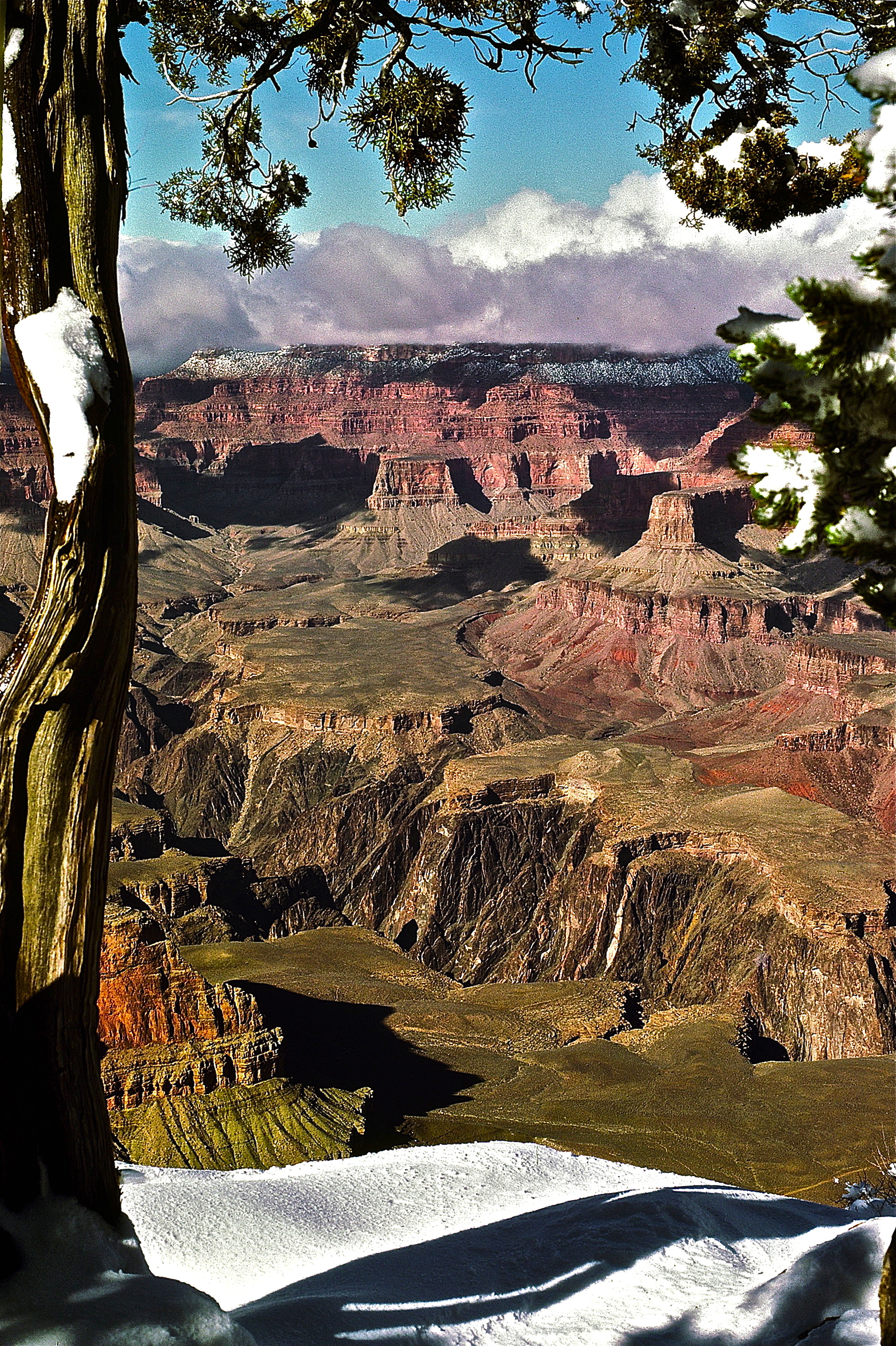 Clearing, South Rim, Grand Canyon (1978, from slide)