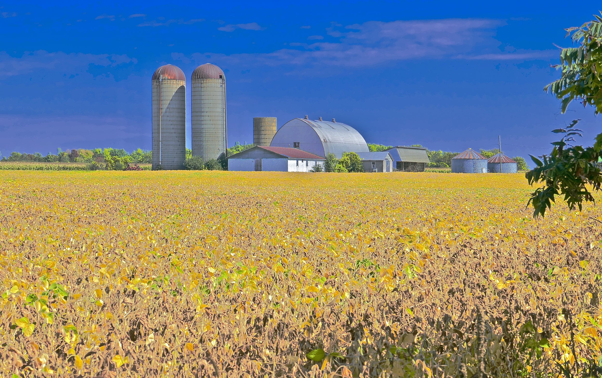 Farm, Prince Edward, Ontario