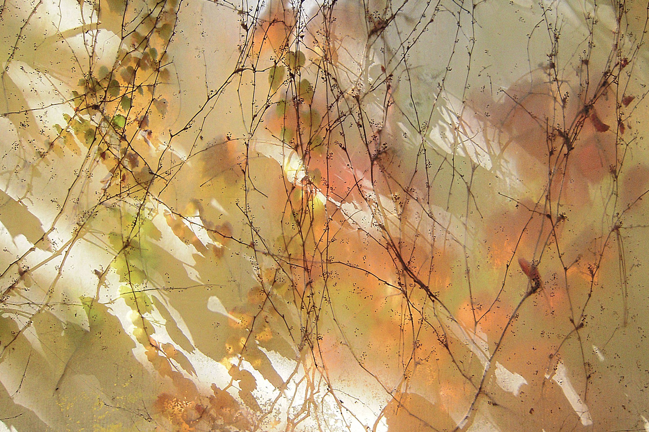 "Fall Afternoon"