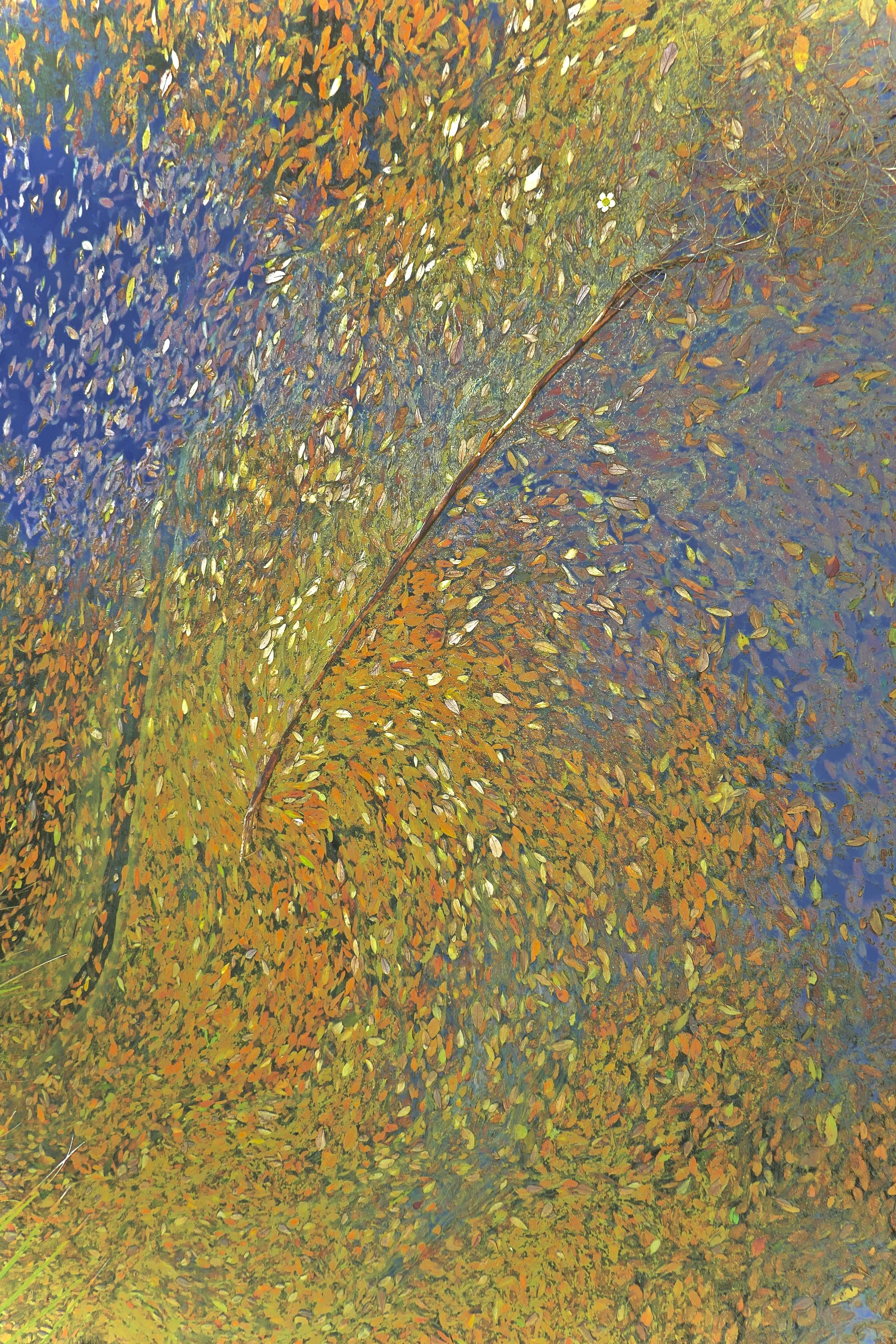 "Live Oak Eddy" (Honorable Mention, Plymouth Center for the Arts Ninth Annual Juried Photography Exhibit, 2019)