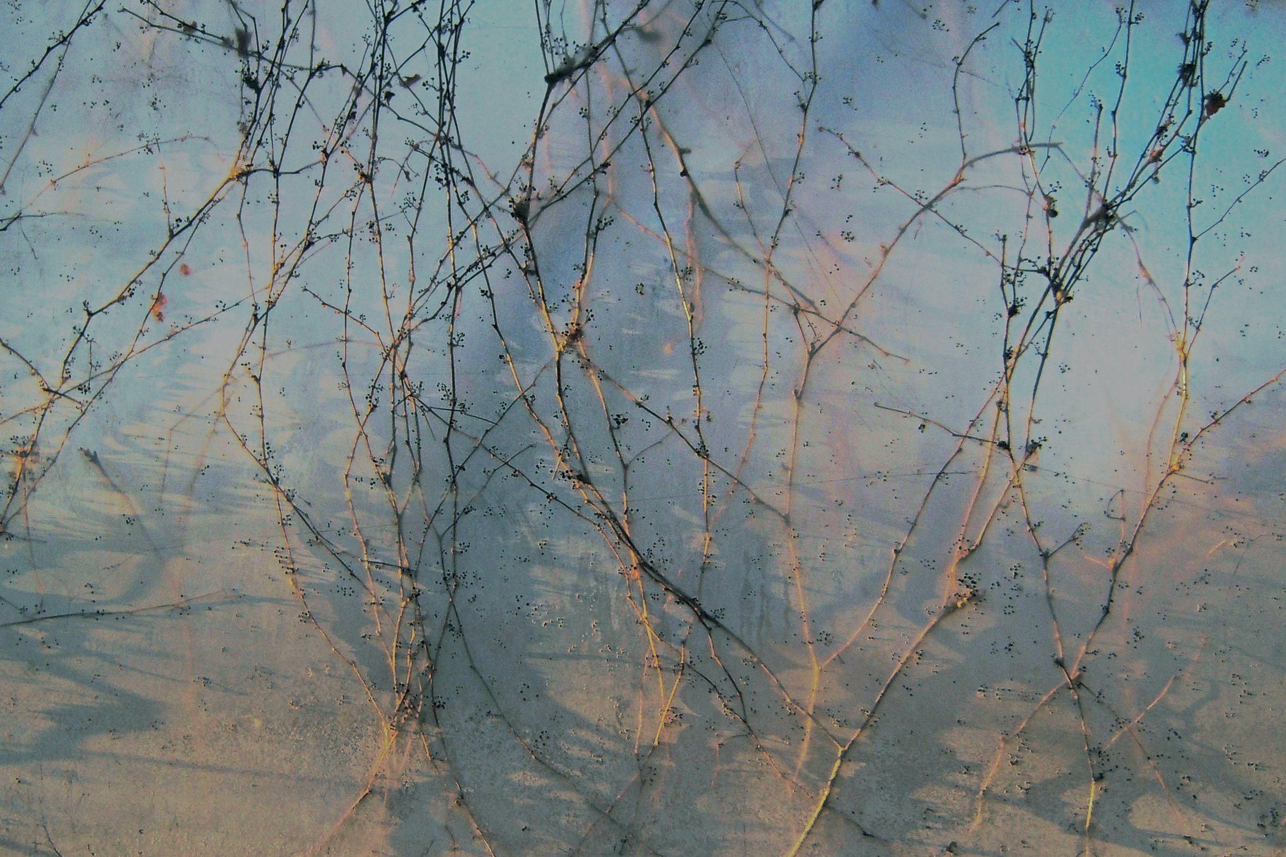 "Winter Afternoon Blue"