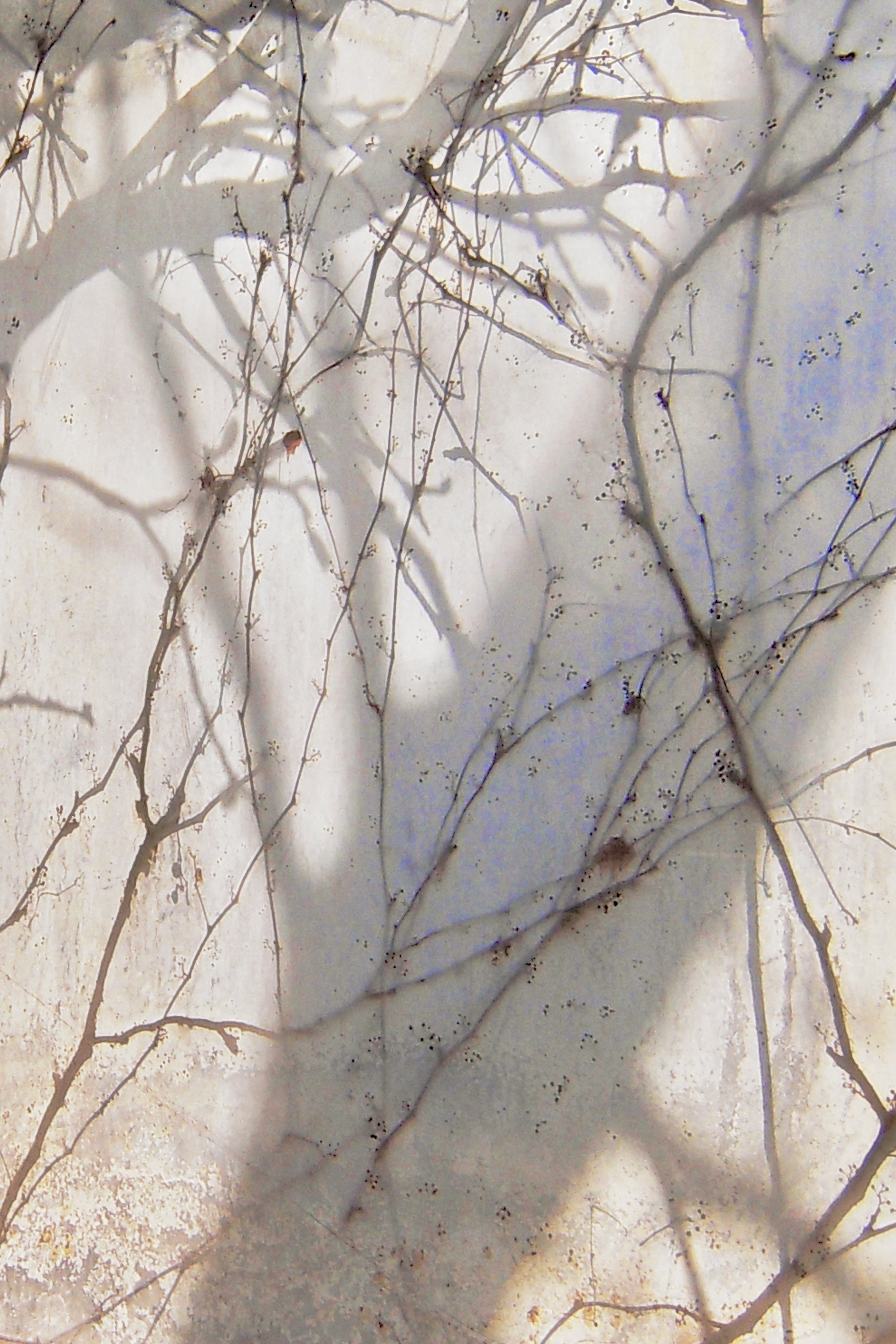 "Afternoon Shadows"