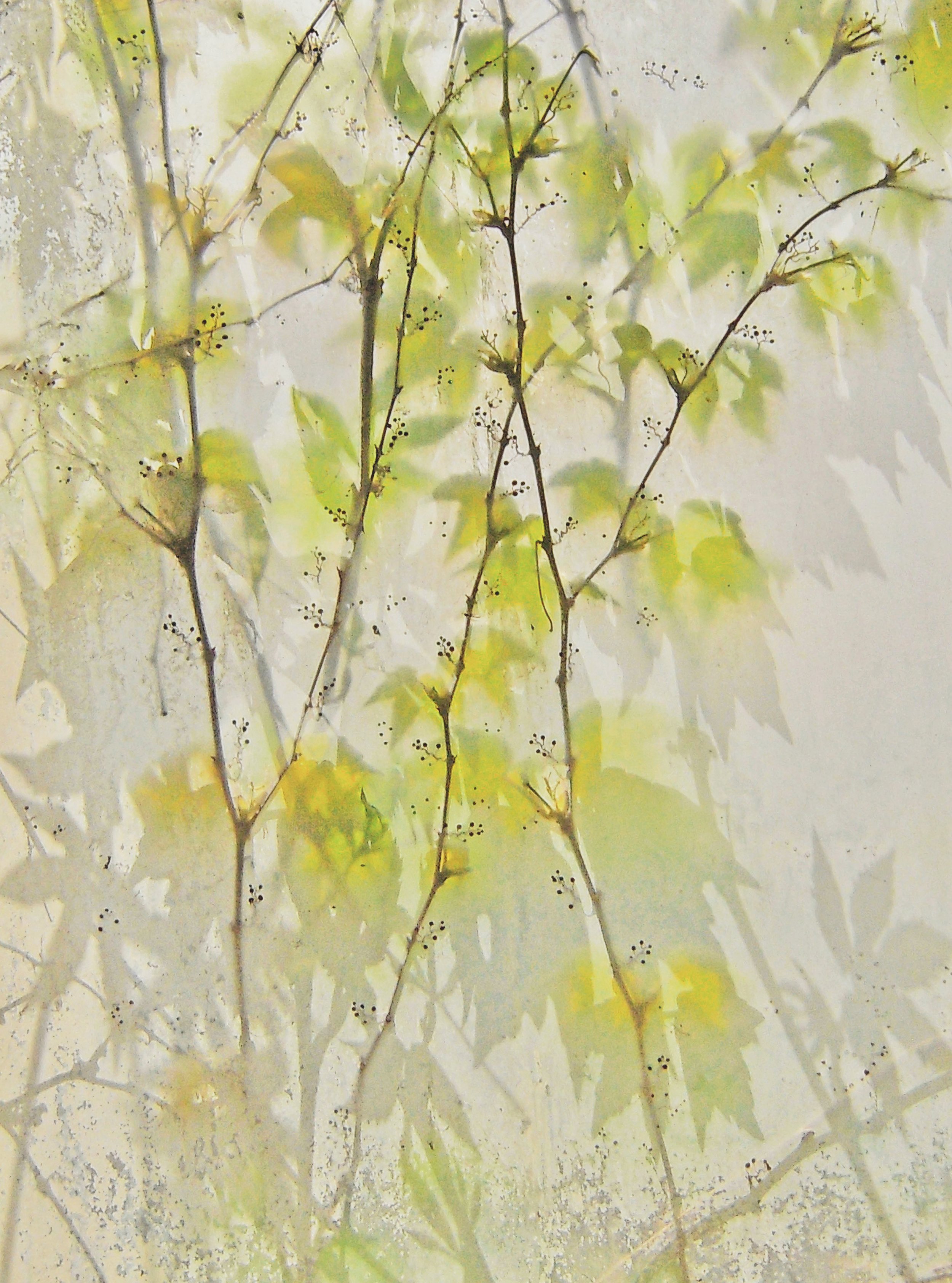 "Leaves of Spring"