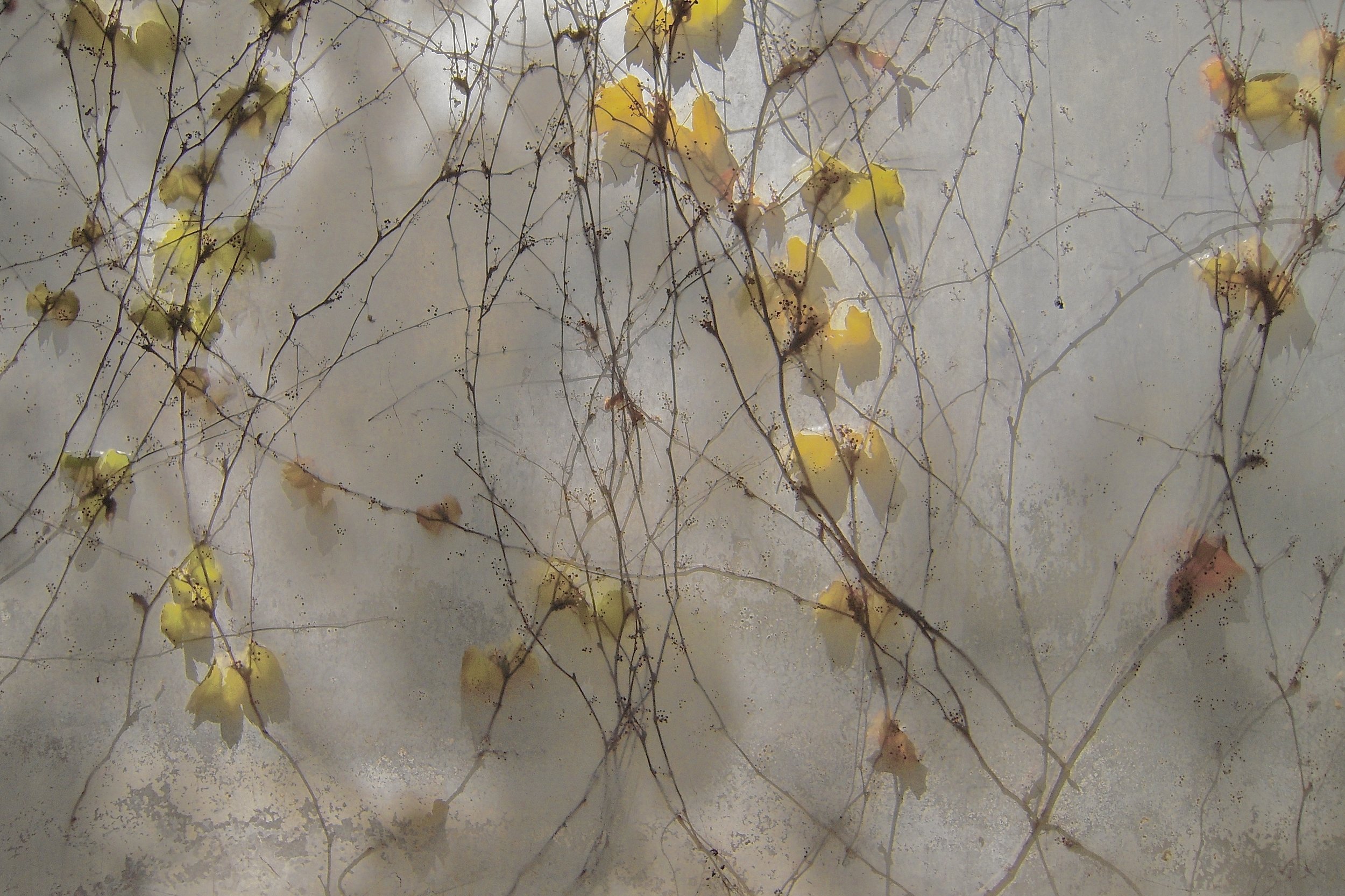 "Spring Storm"