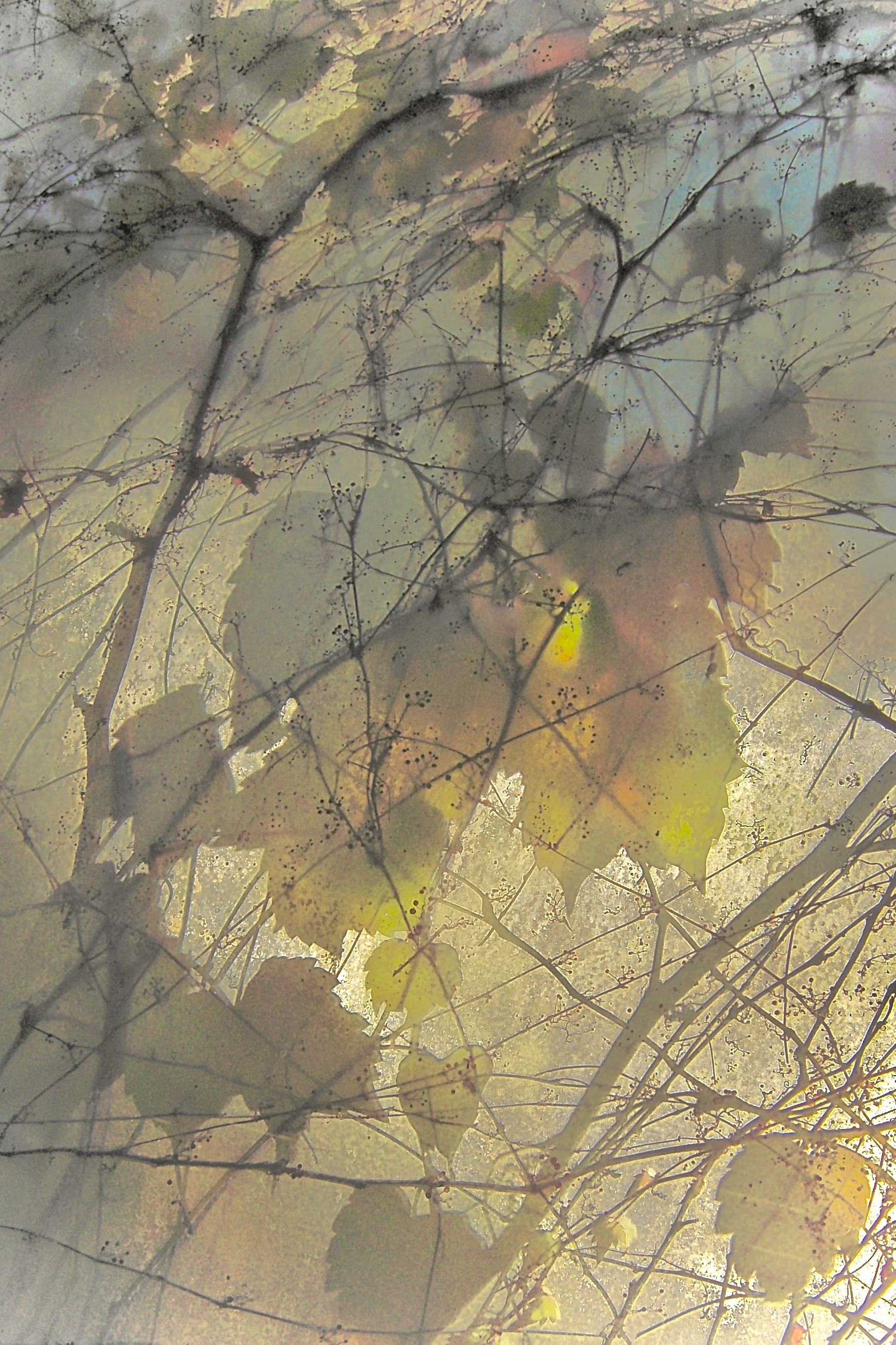 "Early Fall Sun"