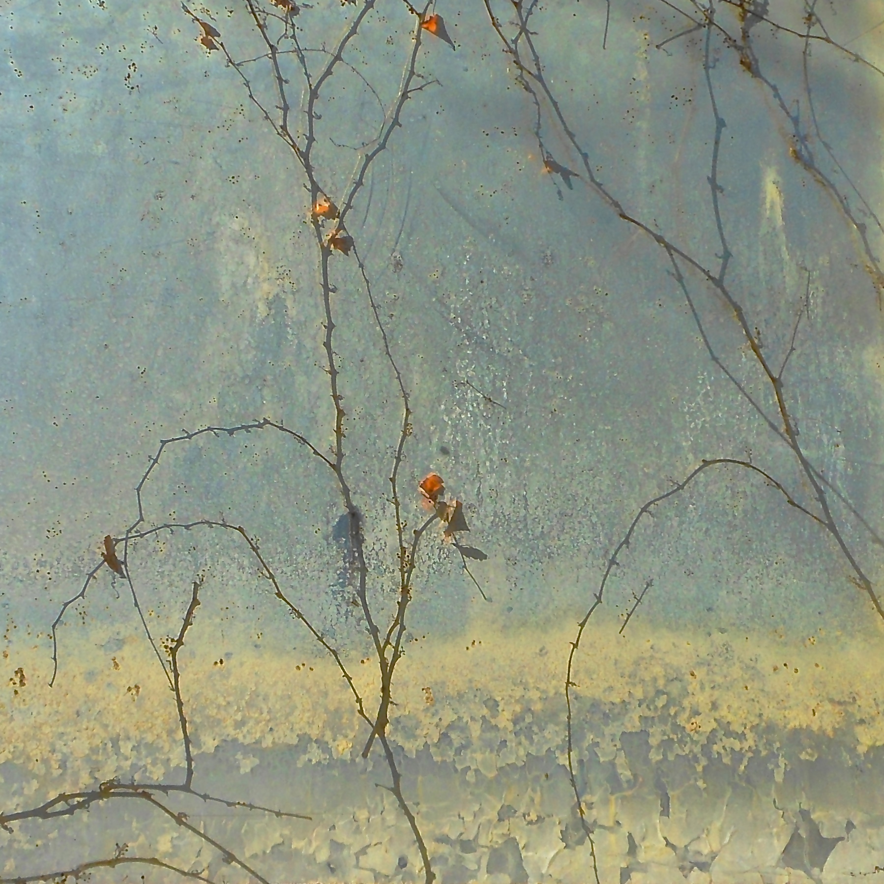 "Fall's Last Leaves"