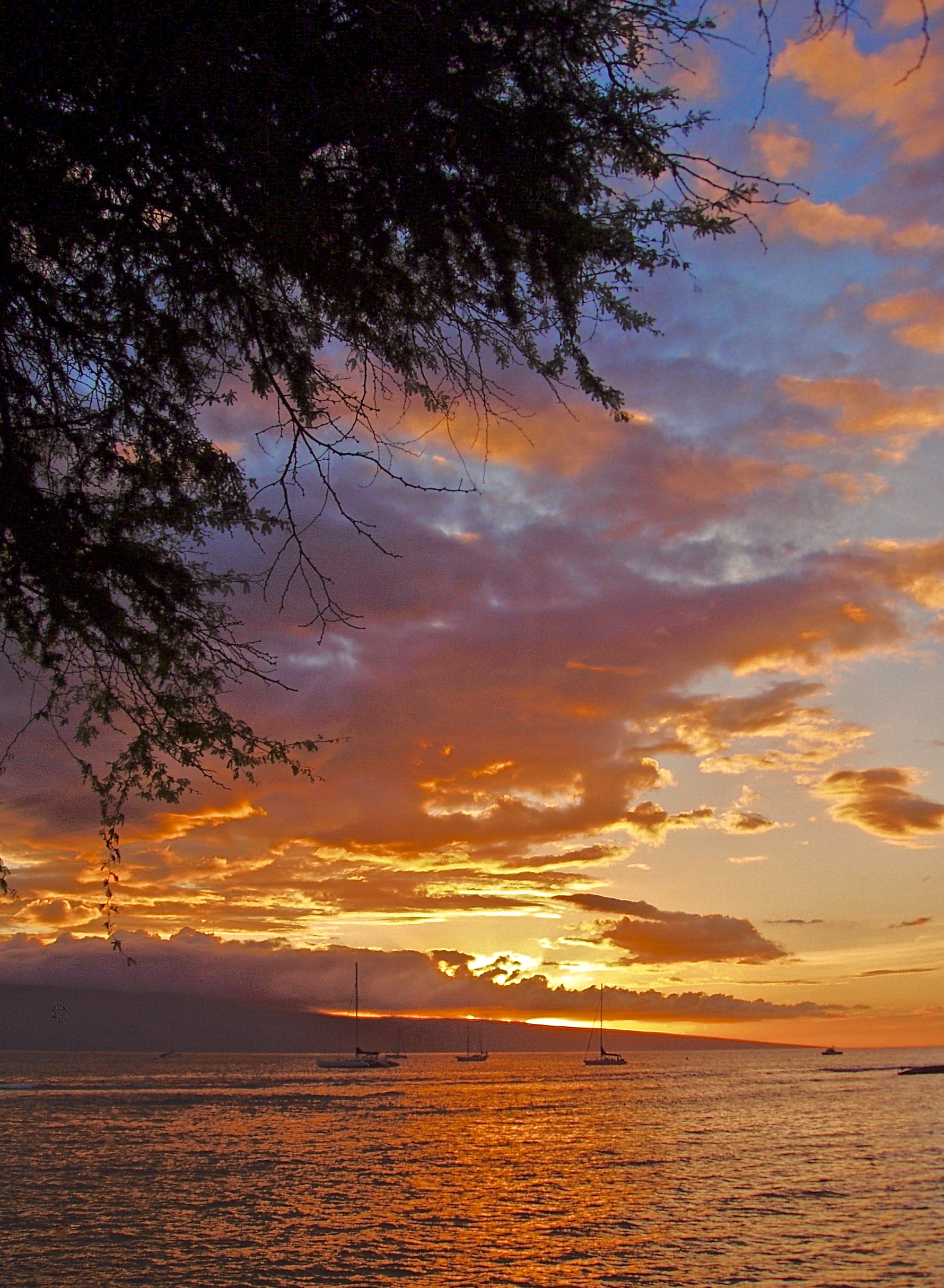 "Lahaina Sunset", Maui, HI