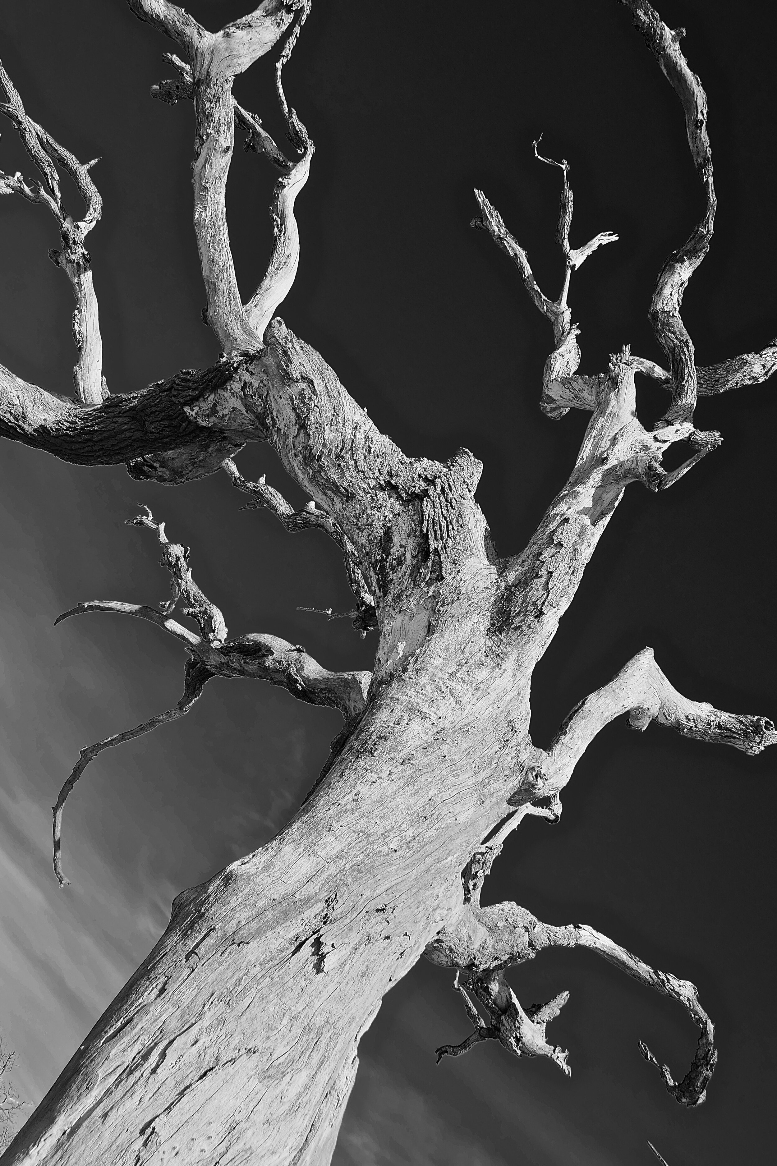"Twists of Fate"