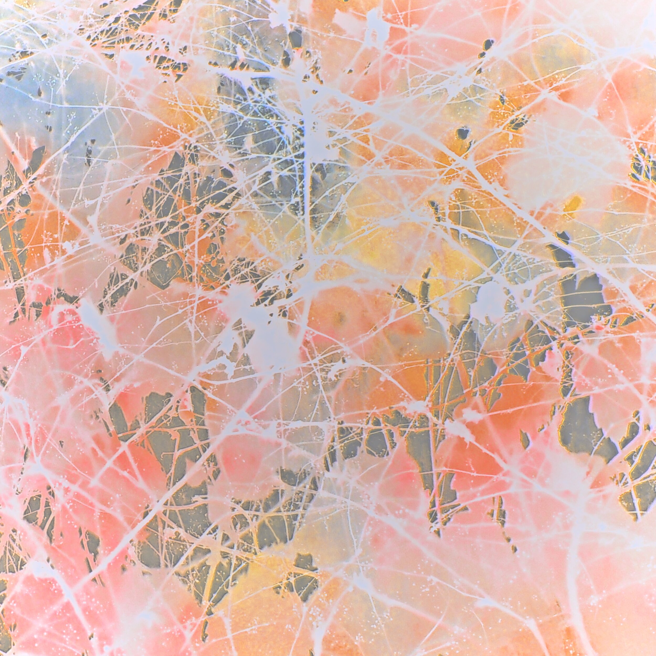 "Network"