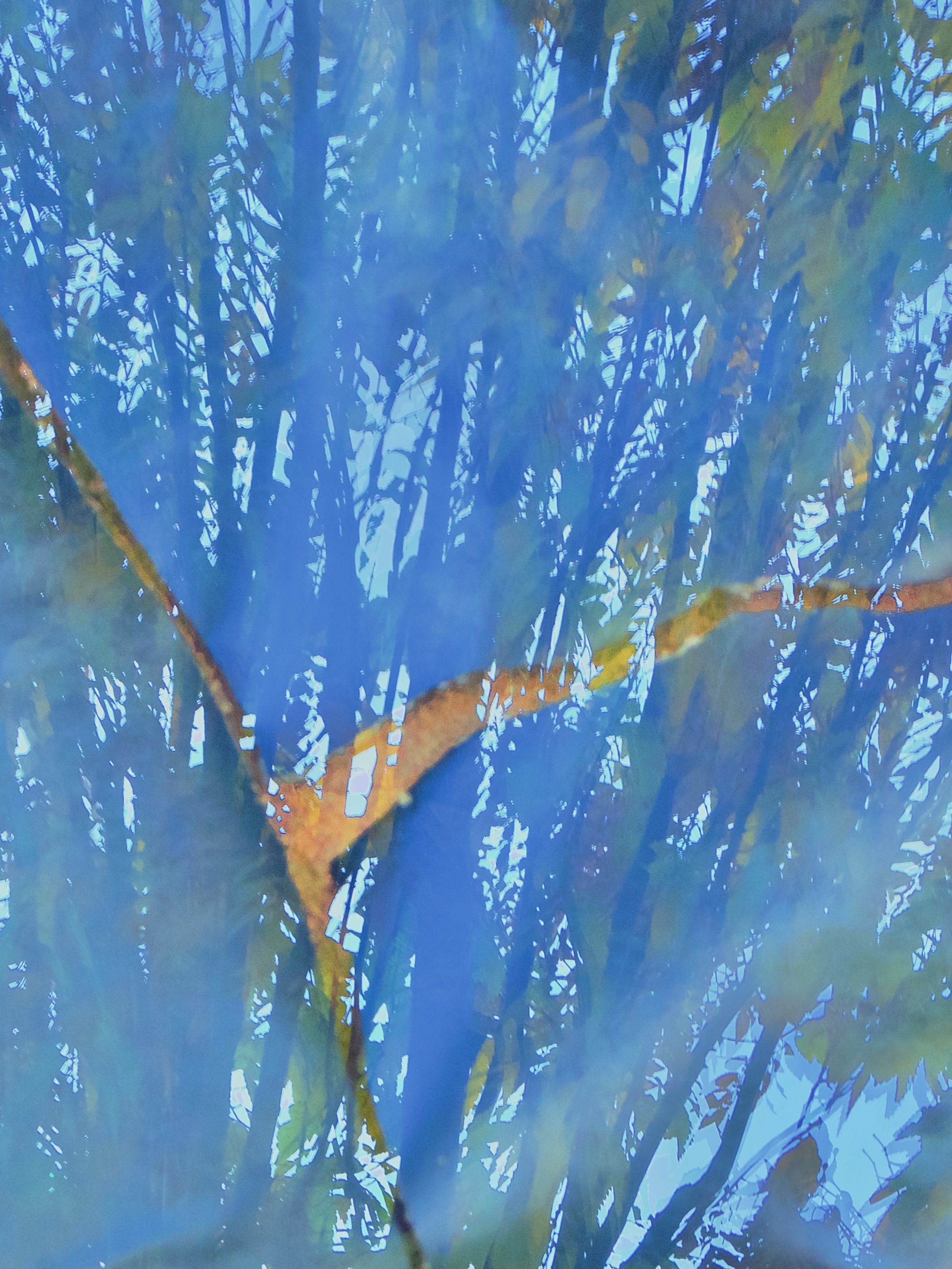 "Treeflection 2"