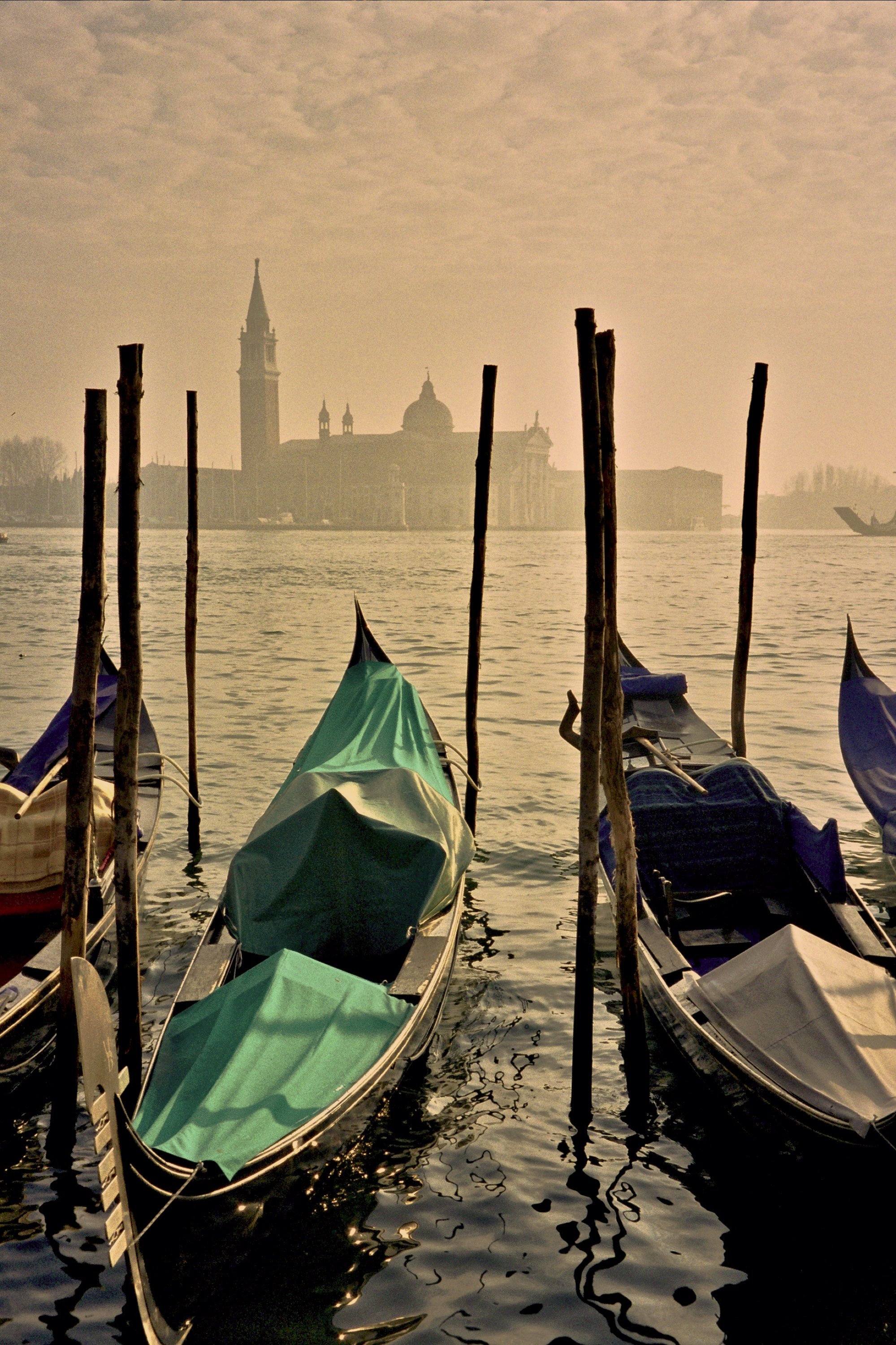 Gondolas, looking toward Guidocca, Venice