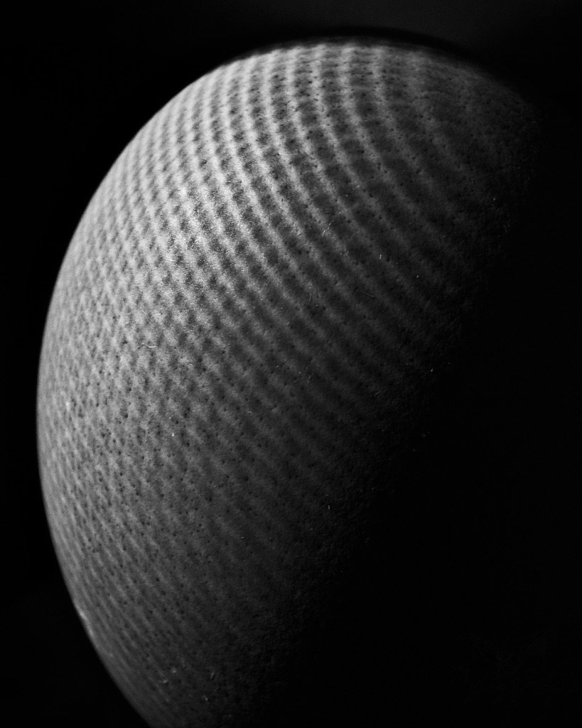 "The Well Screened Egg"