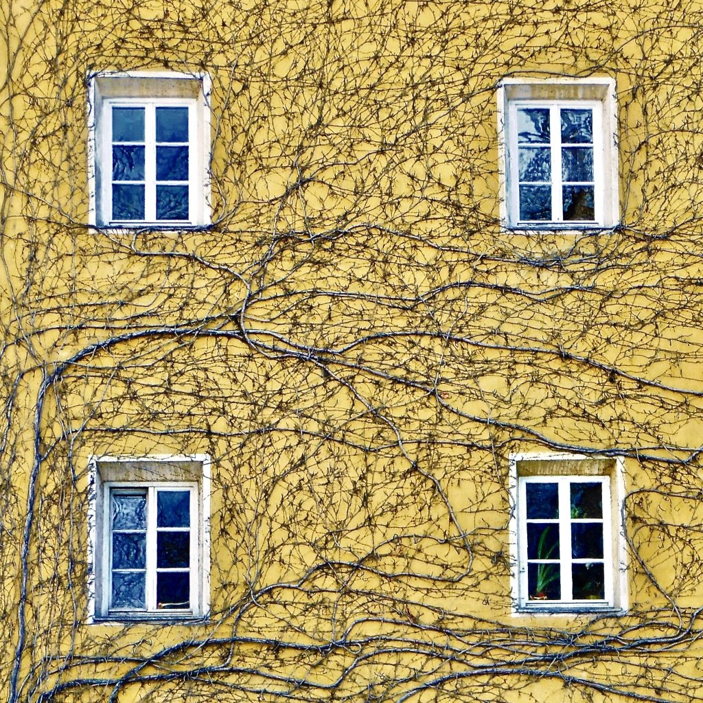 "Branched Yellow Wall with Windows", Innsbruck