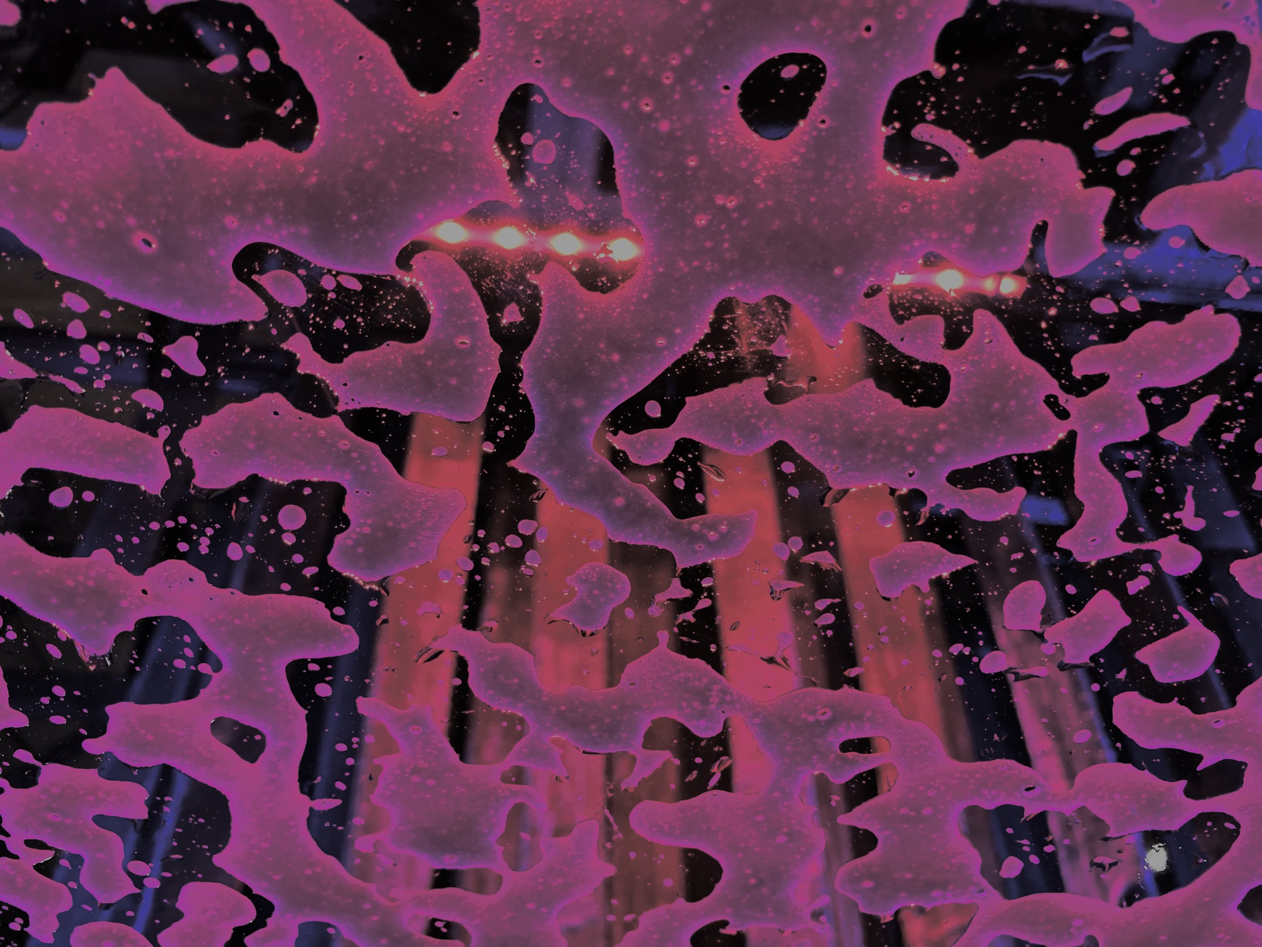 1790F1F2-FF1A-412F-BEAE-A5F4C1B13761_1_201_a.jpeg