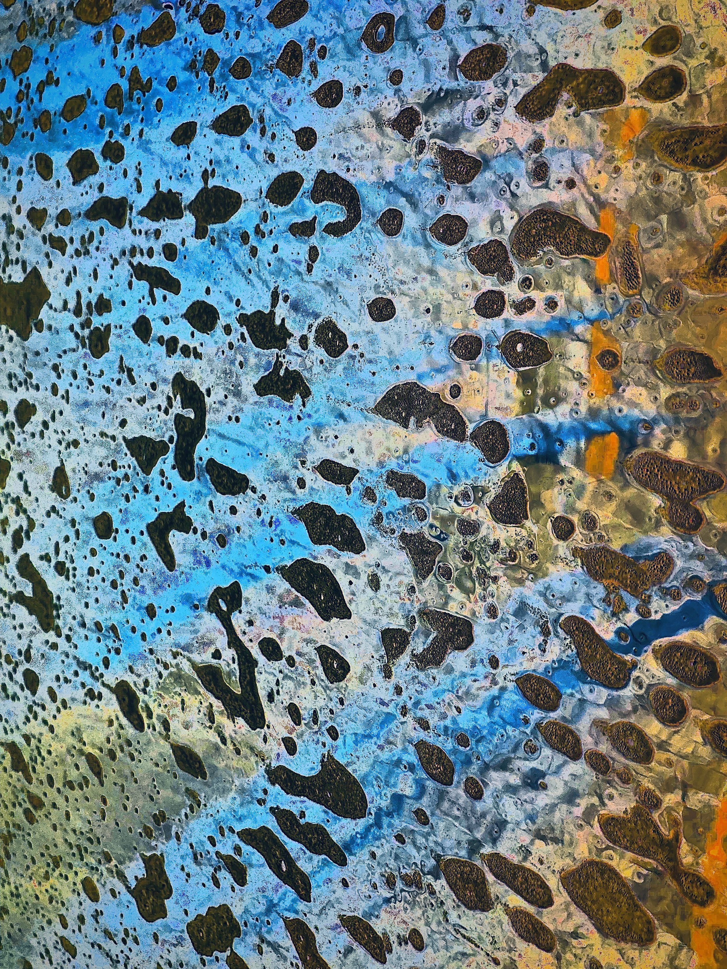 AE7E16AF-5EBF-4884-B62D-234901CA5925_1_201_a.jpeg