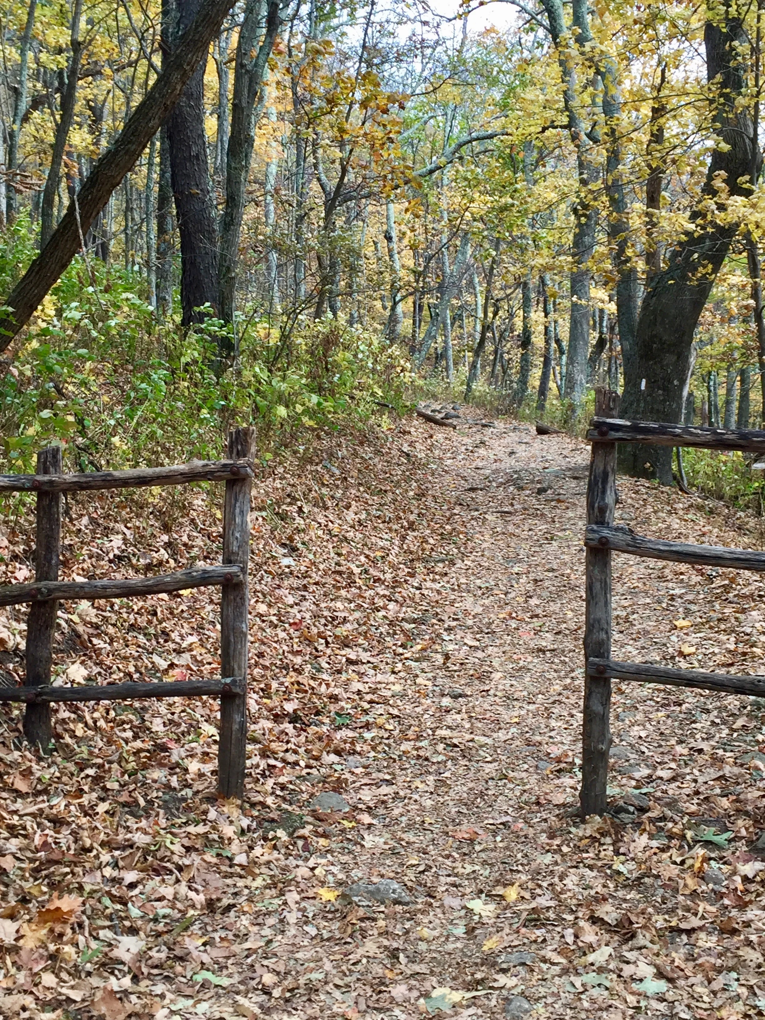Fallhike.jpg