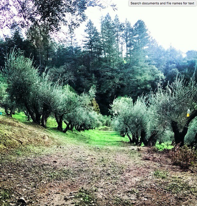 Screen Shot 2017-10-11 at 1.33.24 PM.png