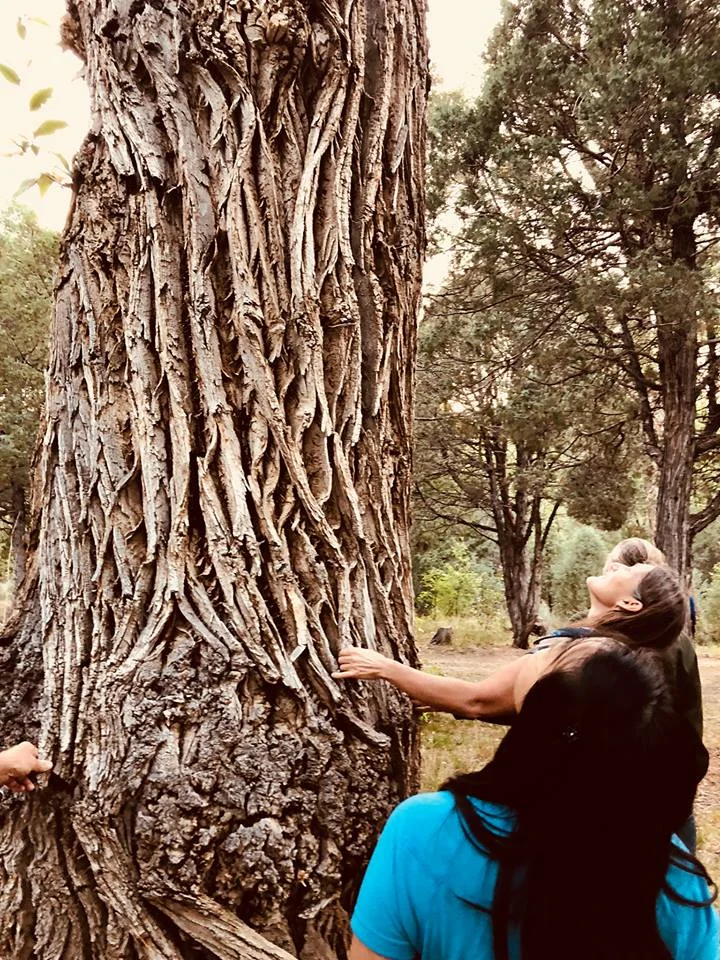 SabineTreeTaos.jpg