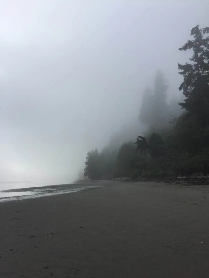 foggyshore.jpg